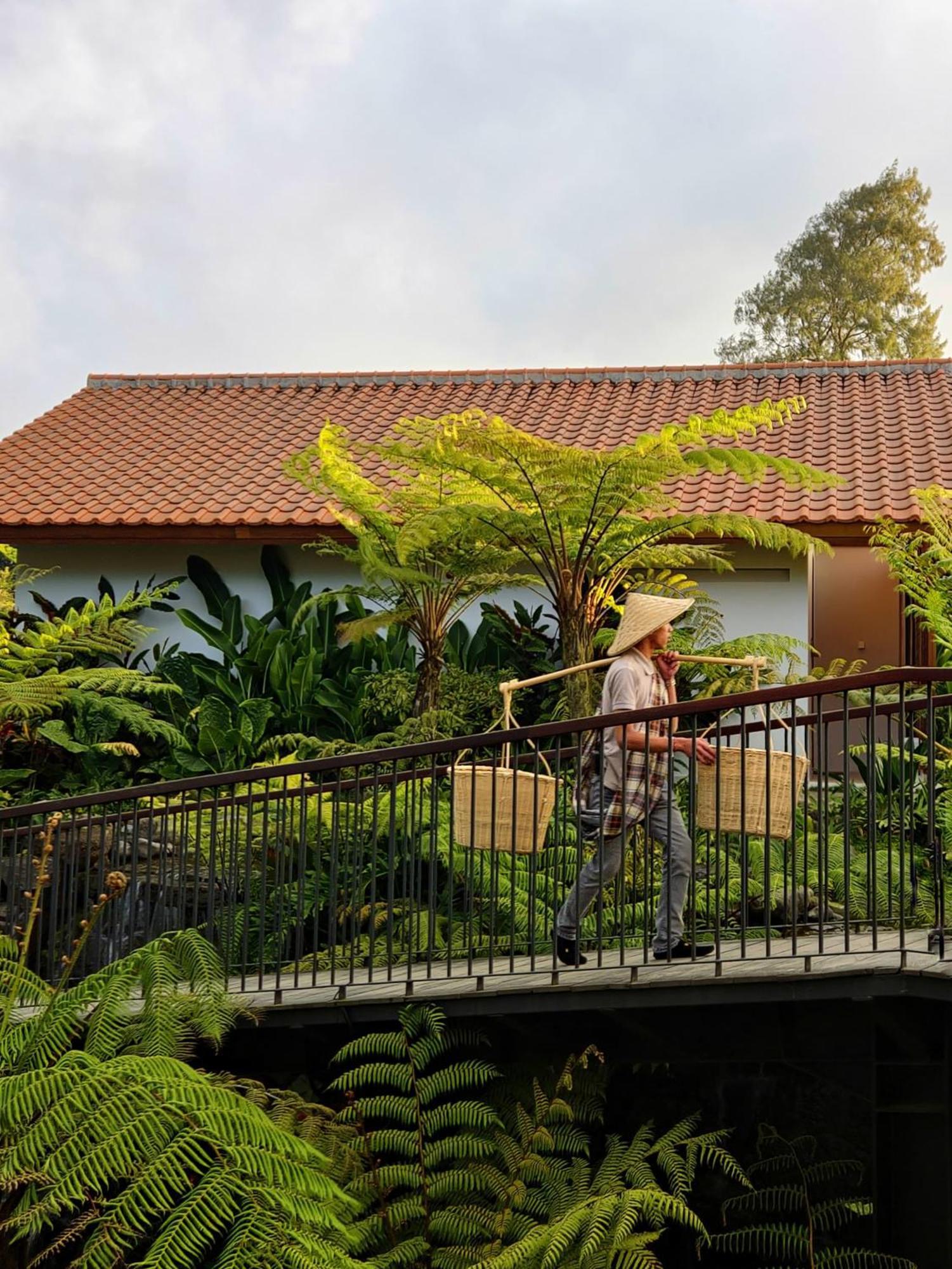 Dusun Bedugul Asri Resort *