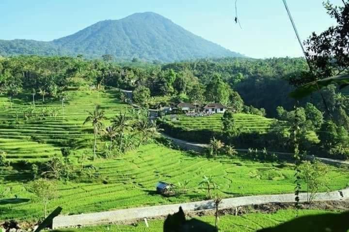 Suweden Jatiluwih