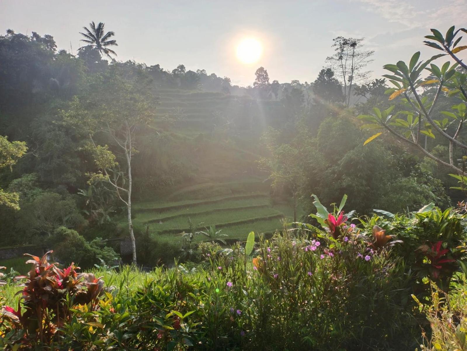 Suweden Homestay Jatiluwih