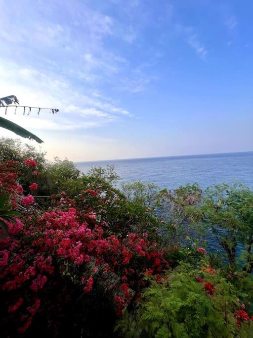 Tengguli Deluxe 20 M Infinitypool Ocean Front Ambat