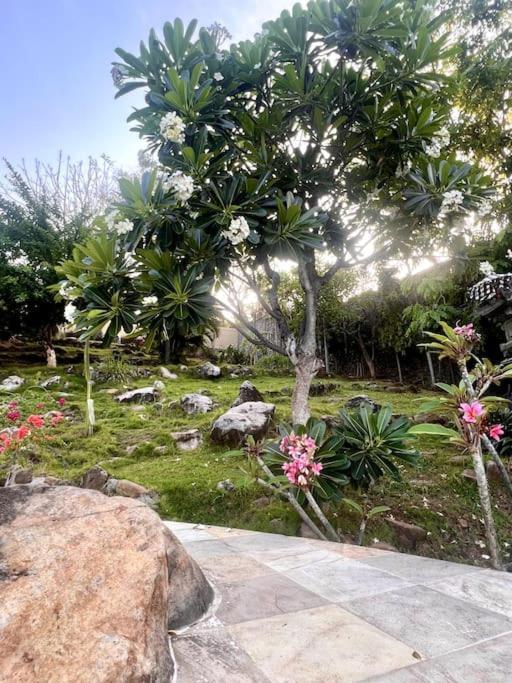 Tengguli Deluxe 20 M Infinitypool Ocean Front Villa Ambat