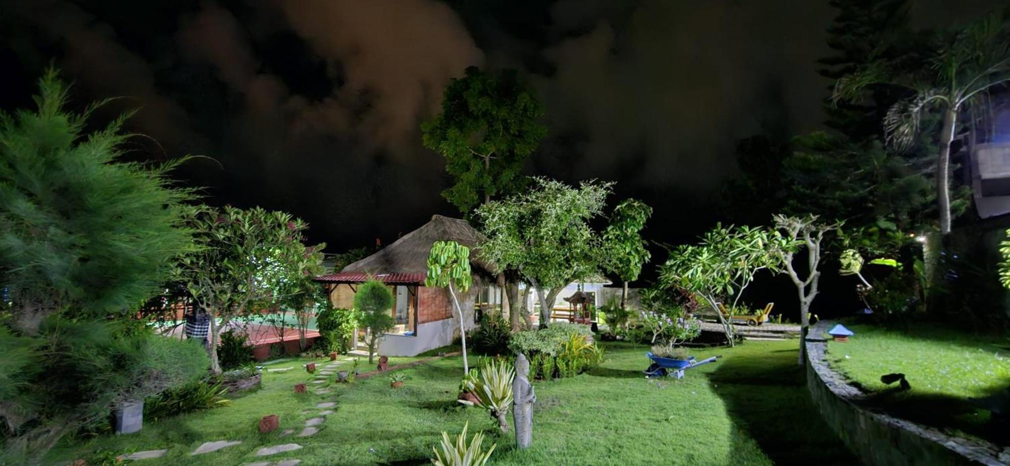 Anjing Nusa Dua (Bali)