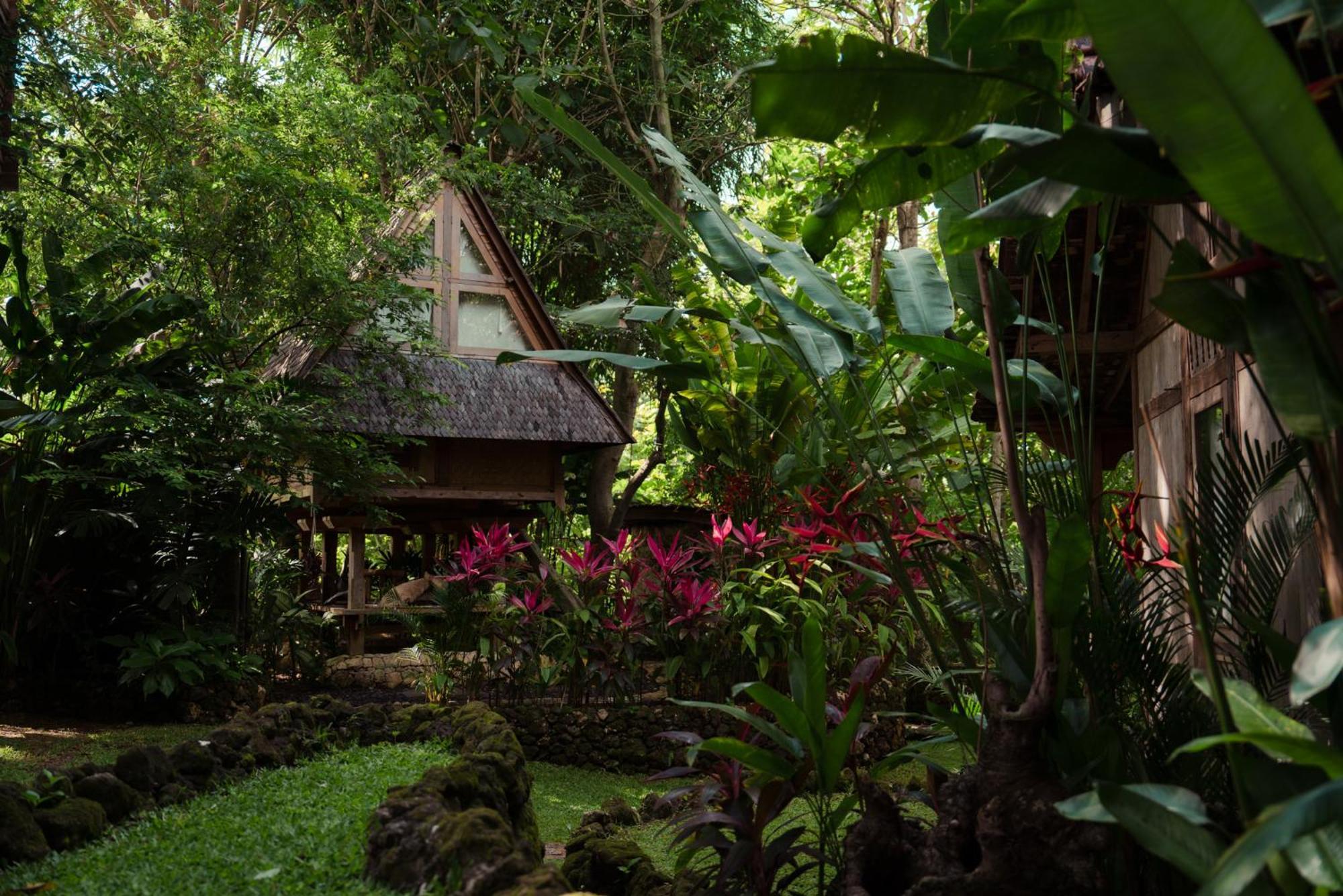 Roots Tree House Lodge *