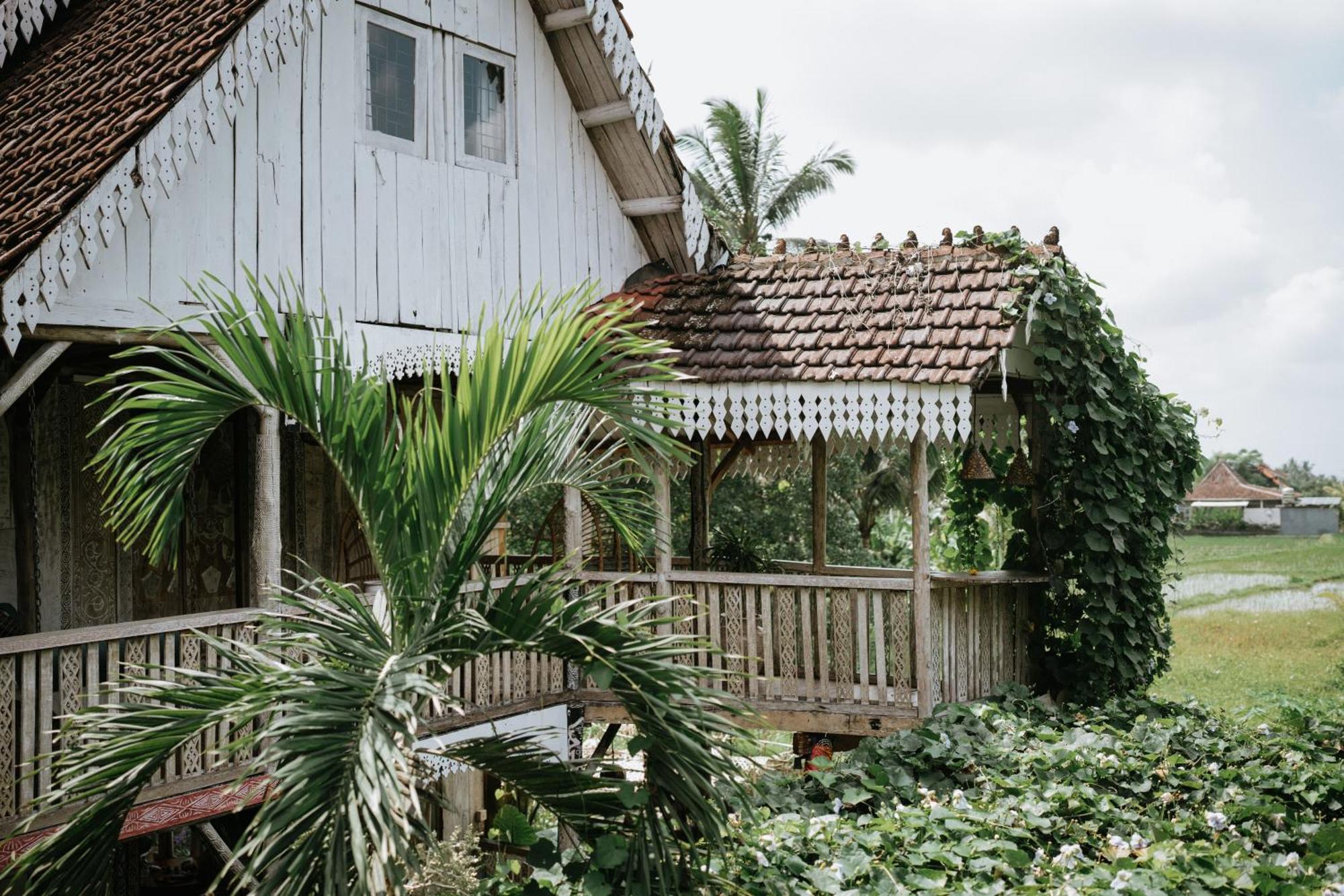 Guest house The Rice Joglo Eco-stay Ubud (Bali)