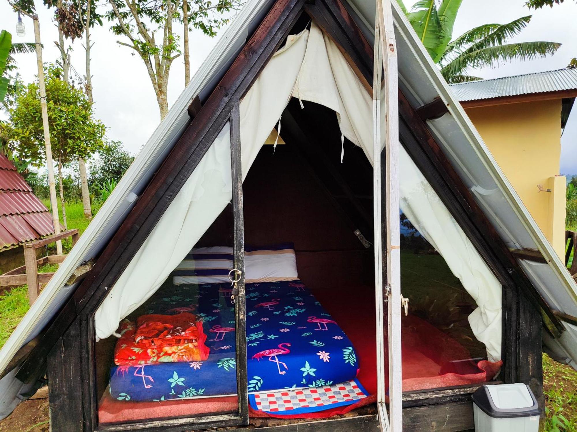 Bugo Camp Glamping & Natural Activity *