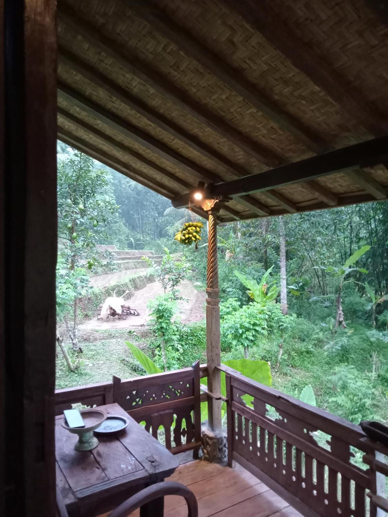 Duegoal Farm stay Jatiluwih