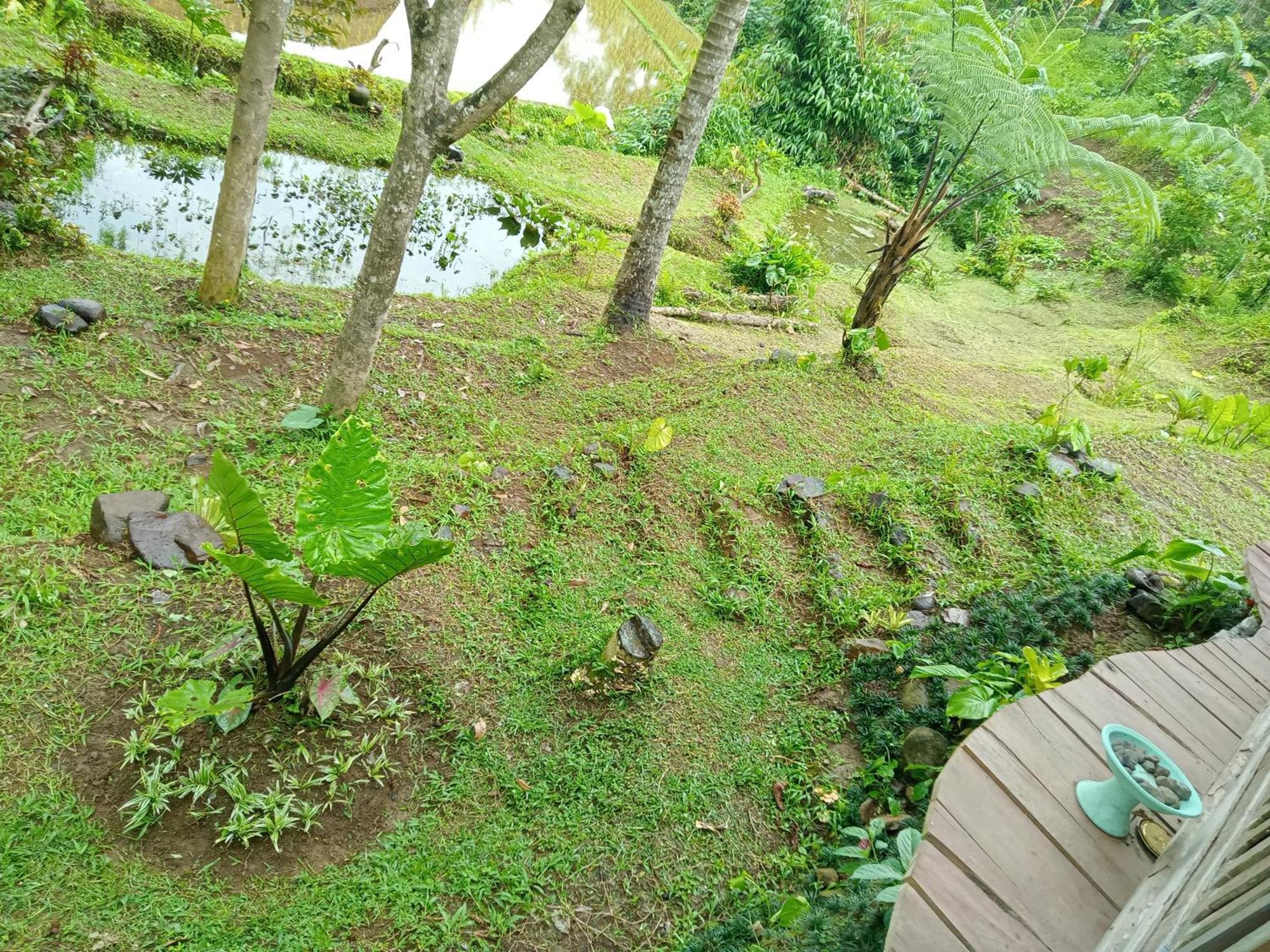 Duegoal Farm stay *