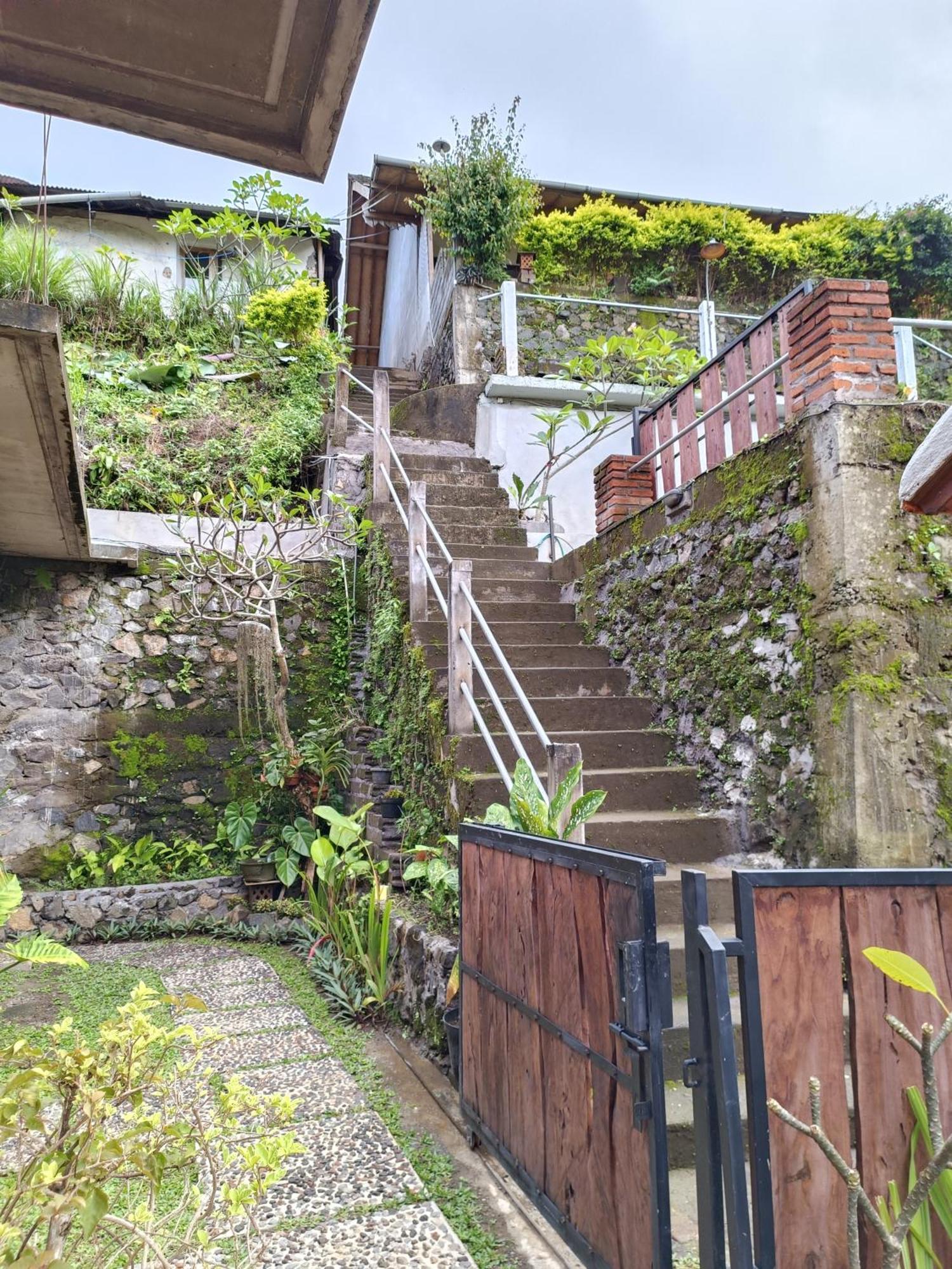 Guest house Made Oka And Warung Munduk (Bali)