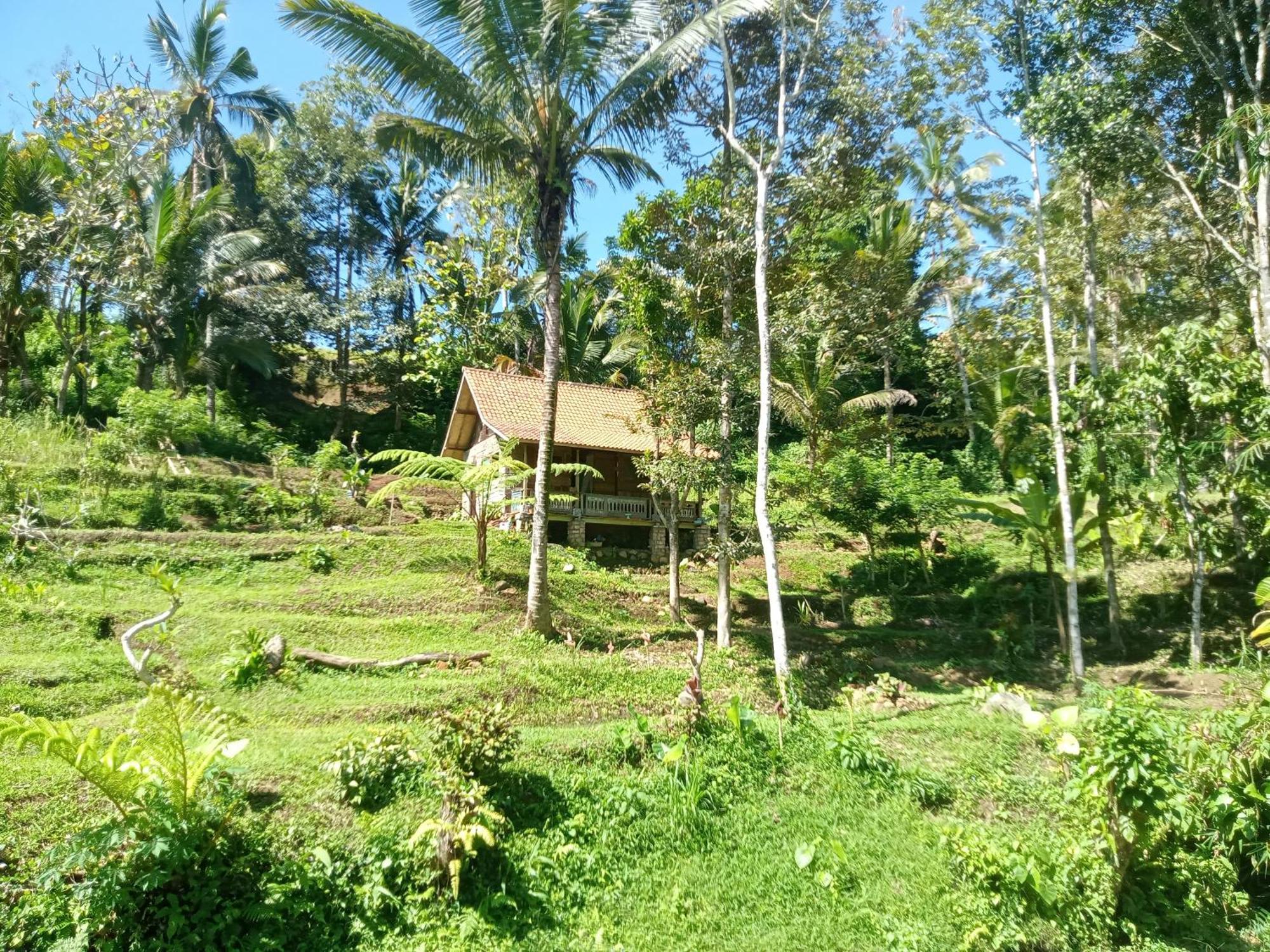 Farm stay Duegoal *