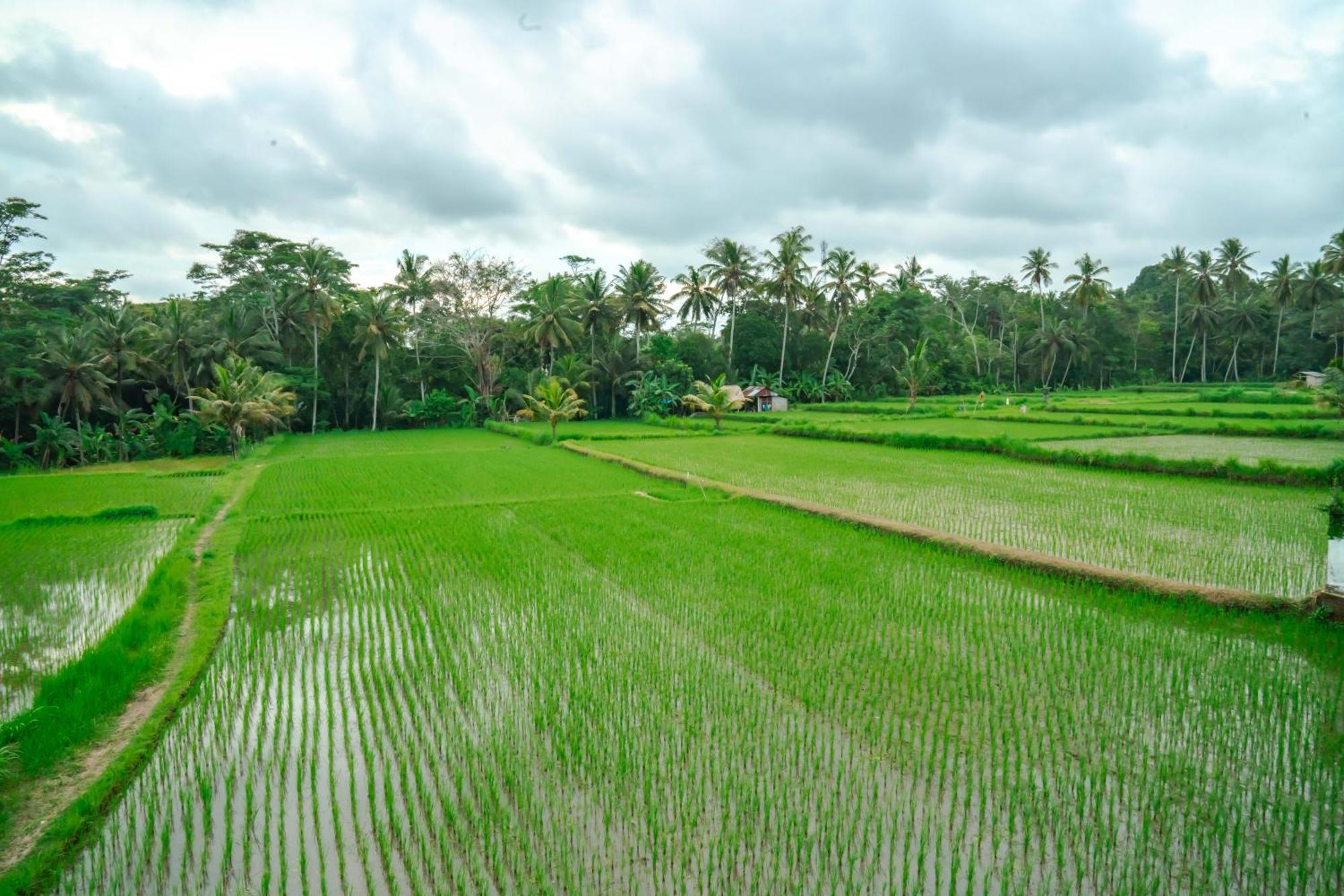 Resort Tulus Hati Retreat