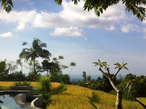 Lodge Apsari 2 Singaraja (Bali)