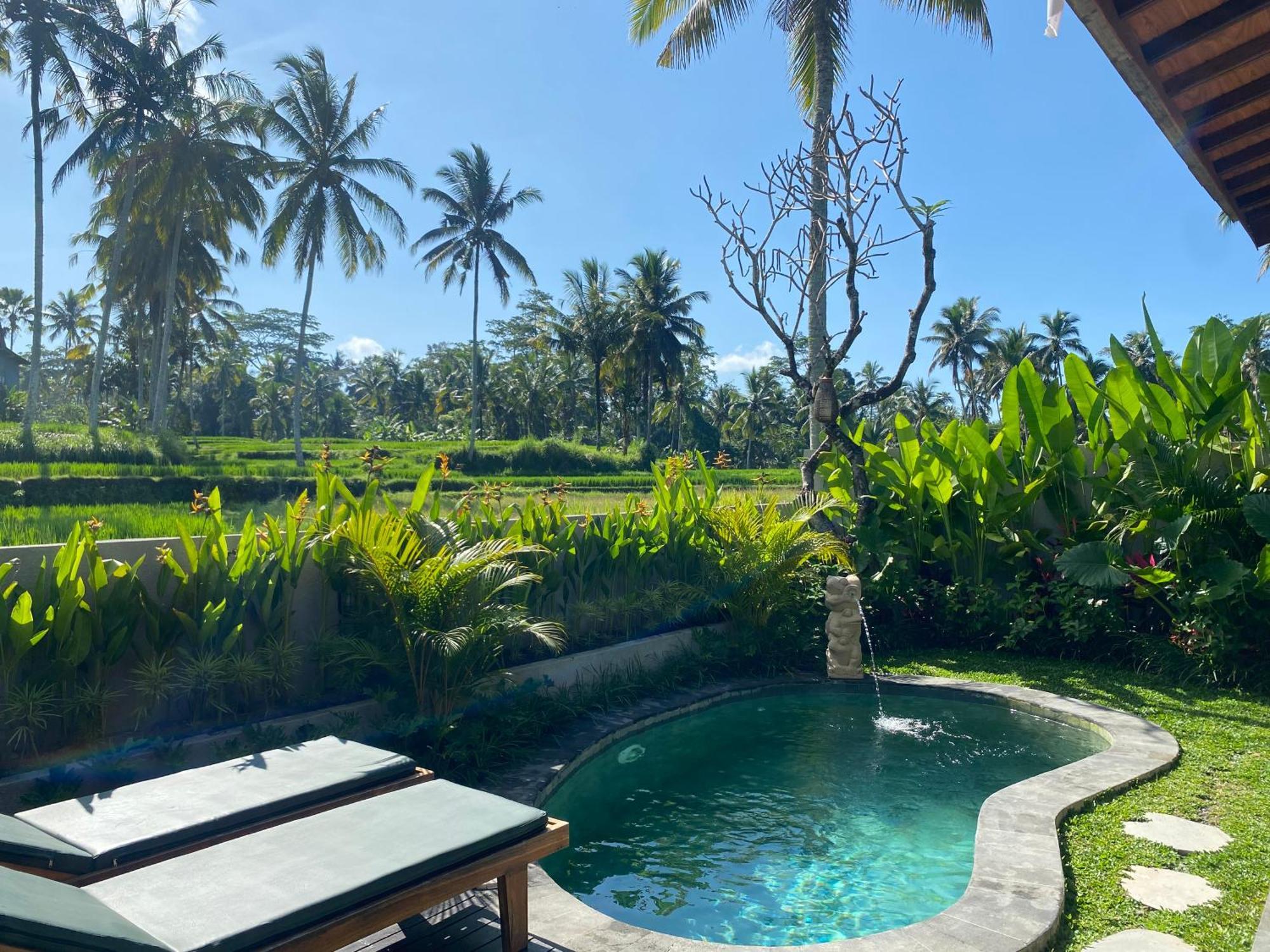 Arvanya Ubud Tegallalang (Bali)