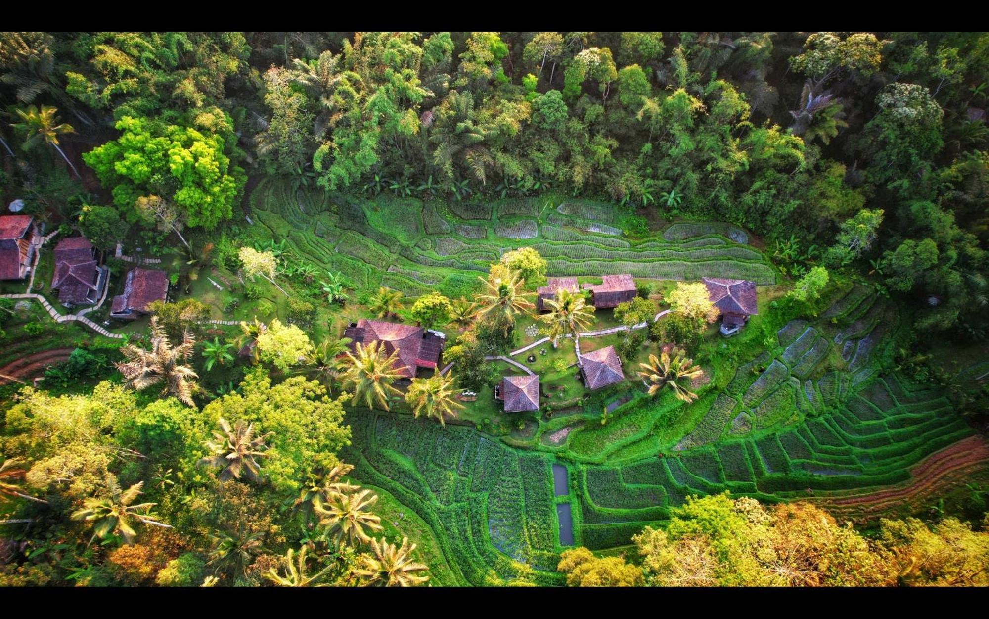 Tepi Sawah Lodge&retreat Taman liburan 2*