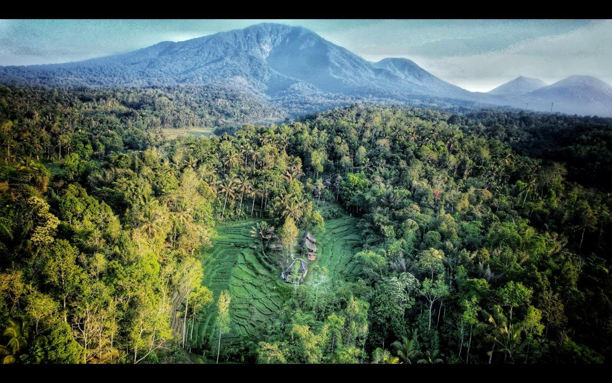 Tepi Sawah Lodge&retreat Taman liburan Jatiluwih