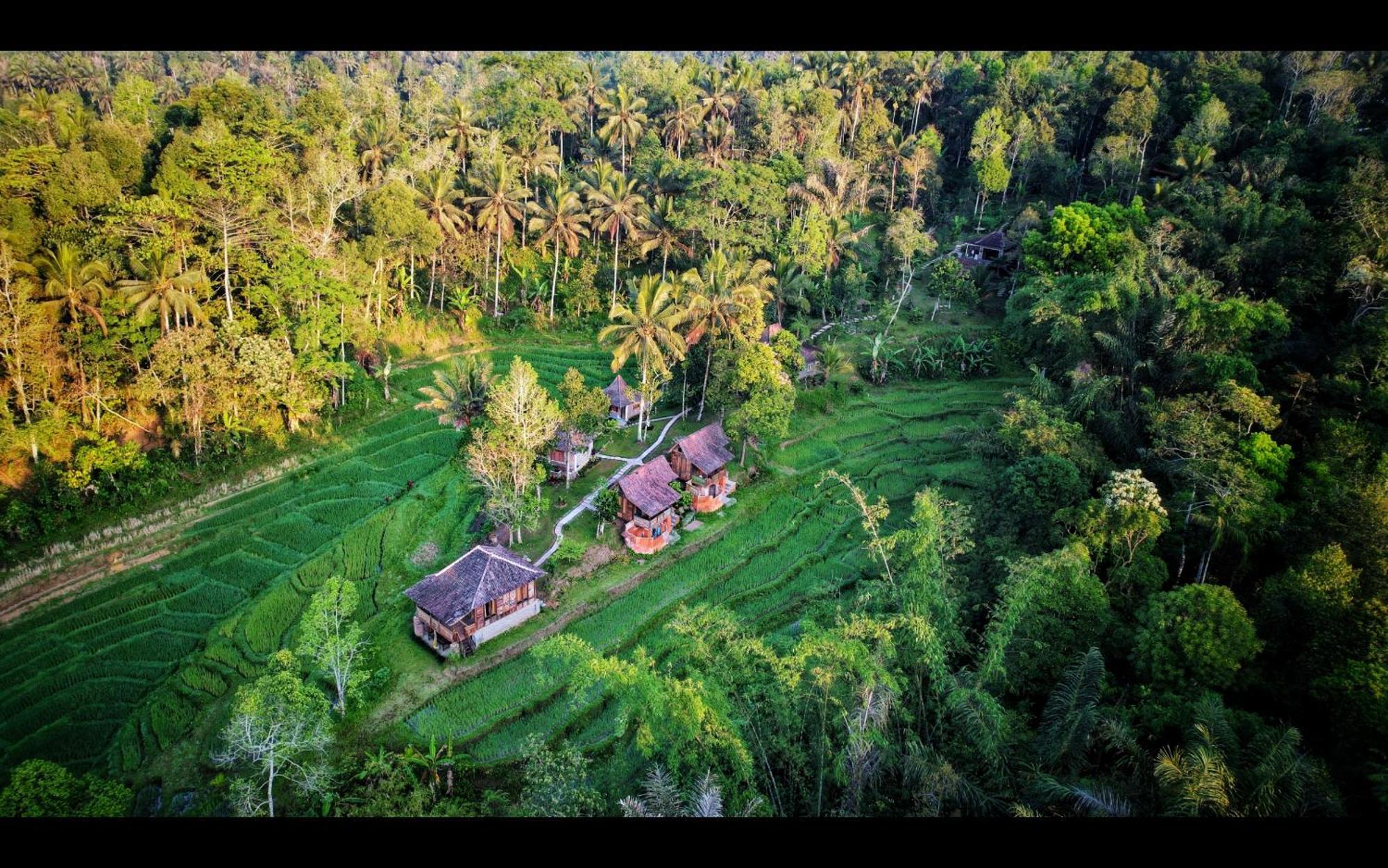 Tepi Sawah Lodge&retreat