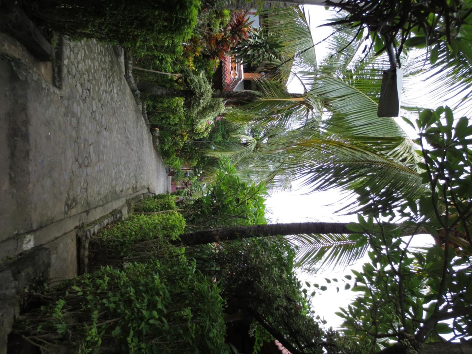 Holiday park Paradise Palm And Dive Center Tulamben (Bali)