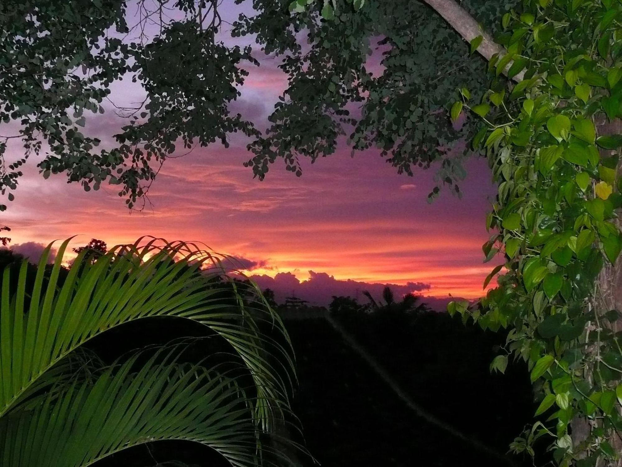 Sananda 3* Lovina (Bali)