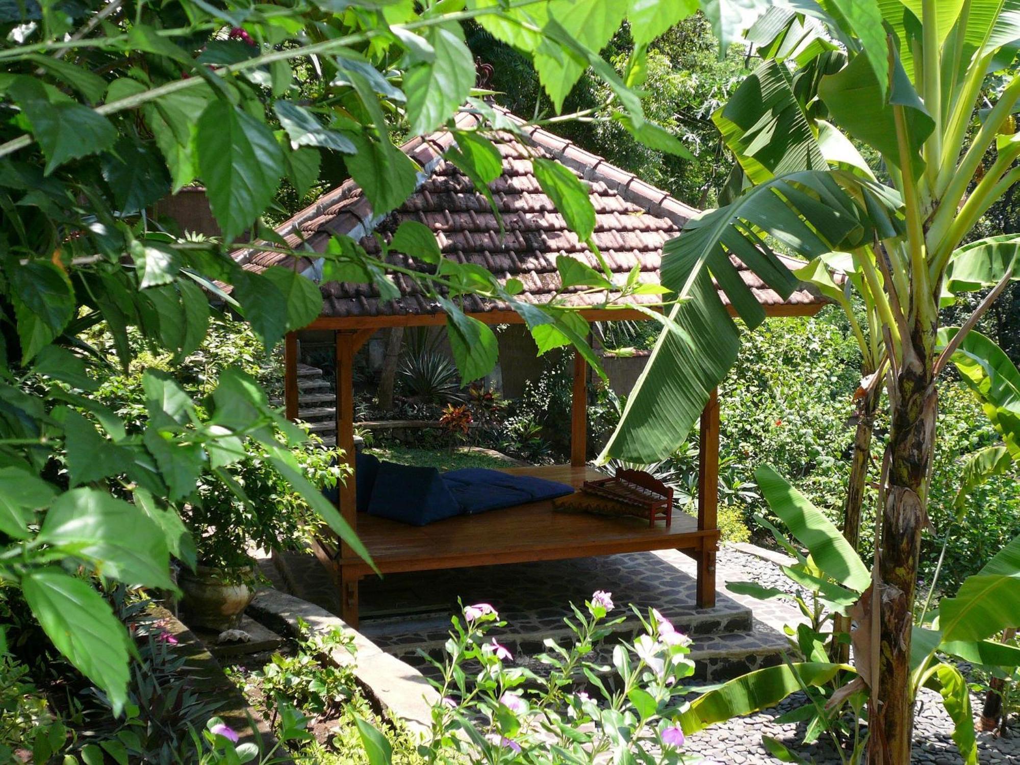 Sananda Lovina (Bali)