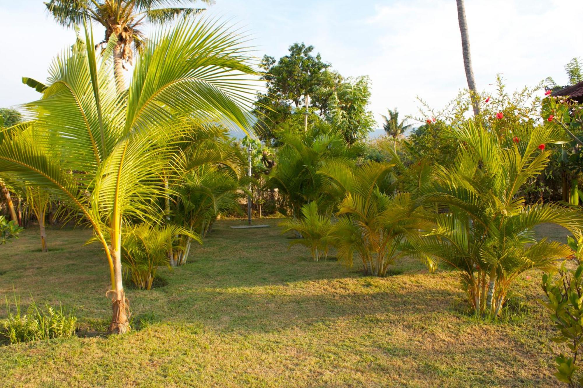 Holiday park Bali Oase