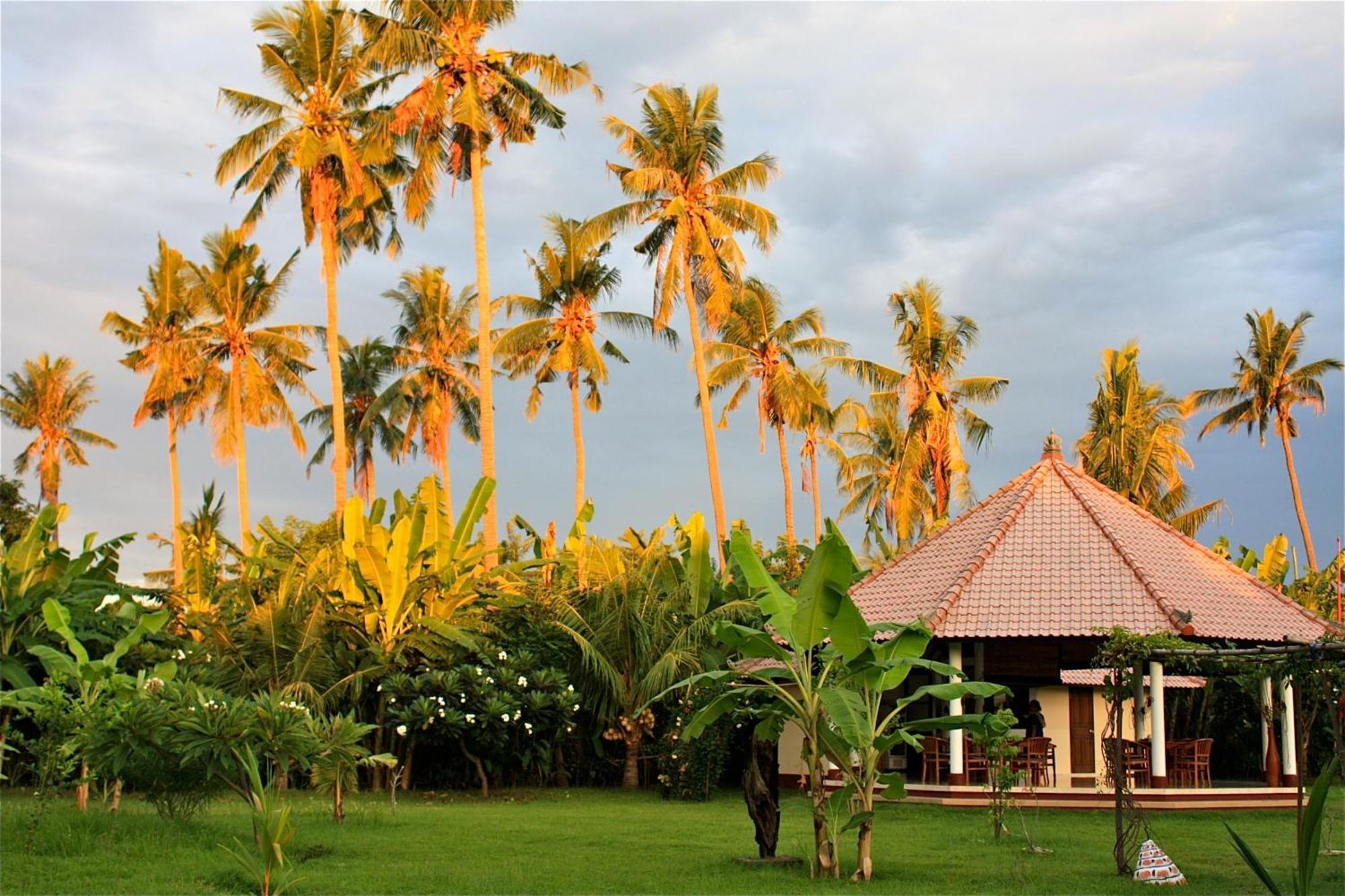 Bali Oase 2* Pemuteran (Bali)