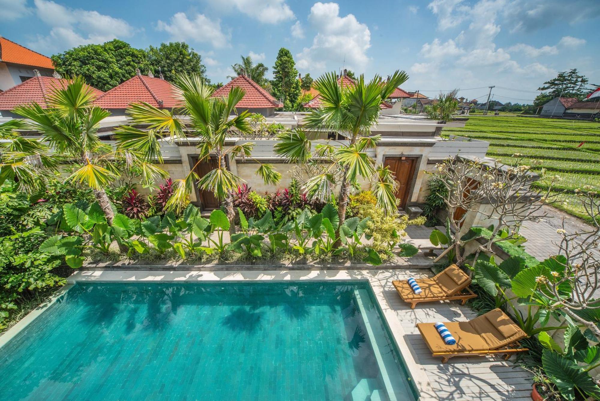 Apartment Puri & Canggu (Bali)