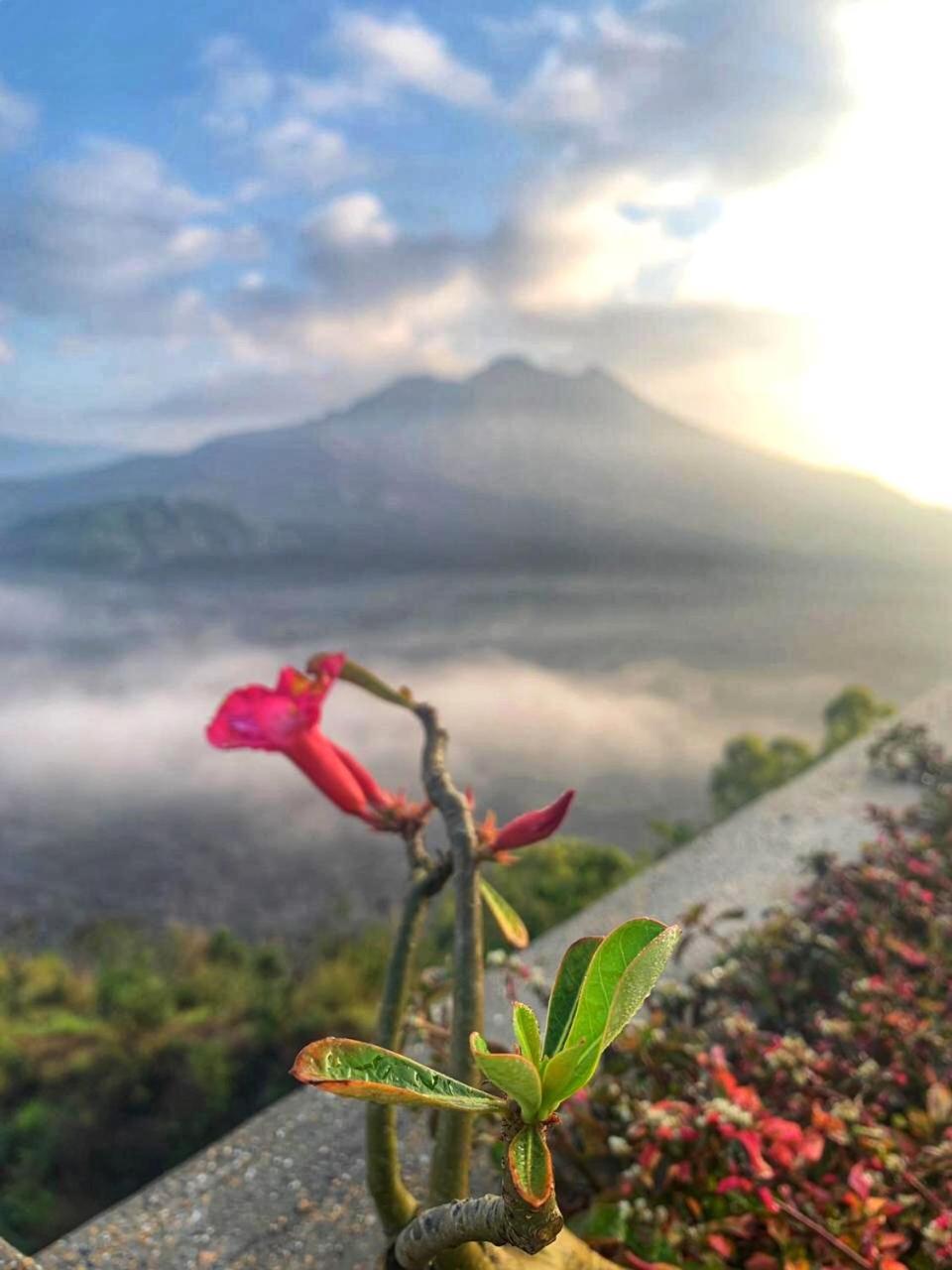 Ayodya Batur
