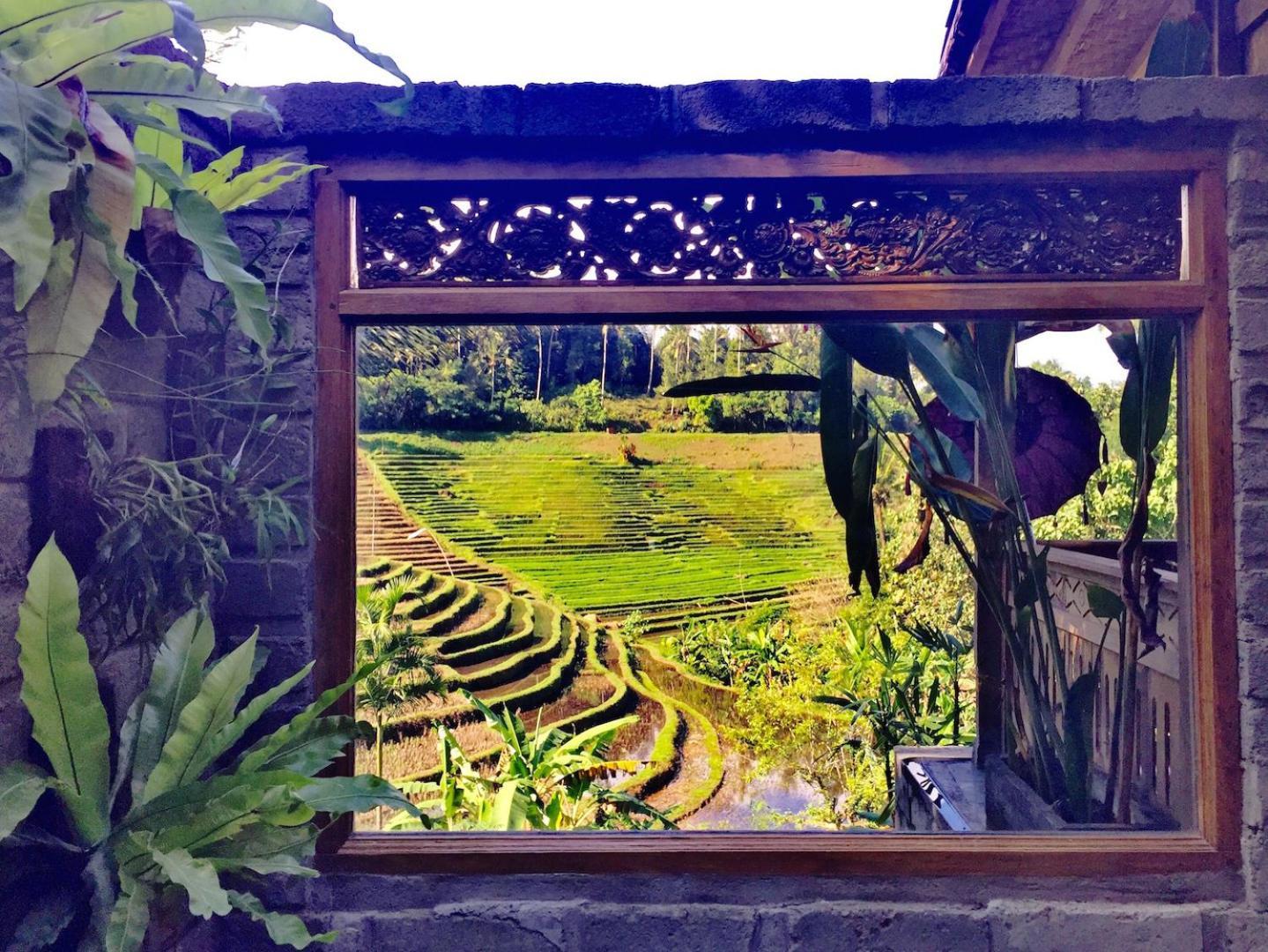 Bali Lush Bed & Breakfast 3*