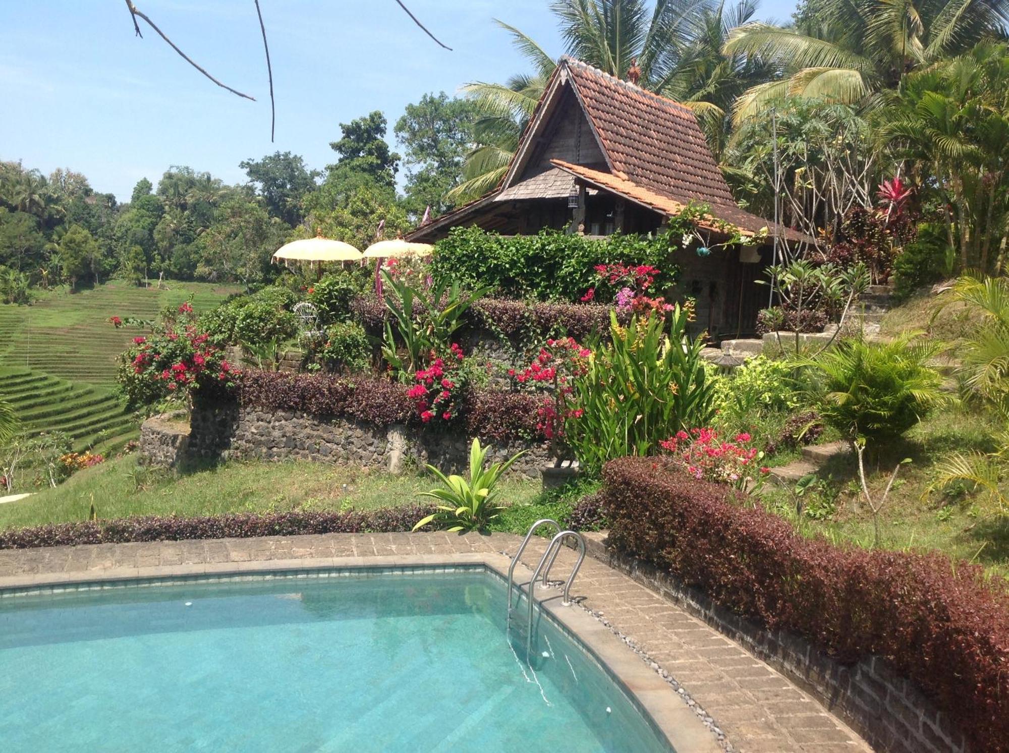Bali Lush Bed & Breakfast Selemadeg (Bali)