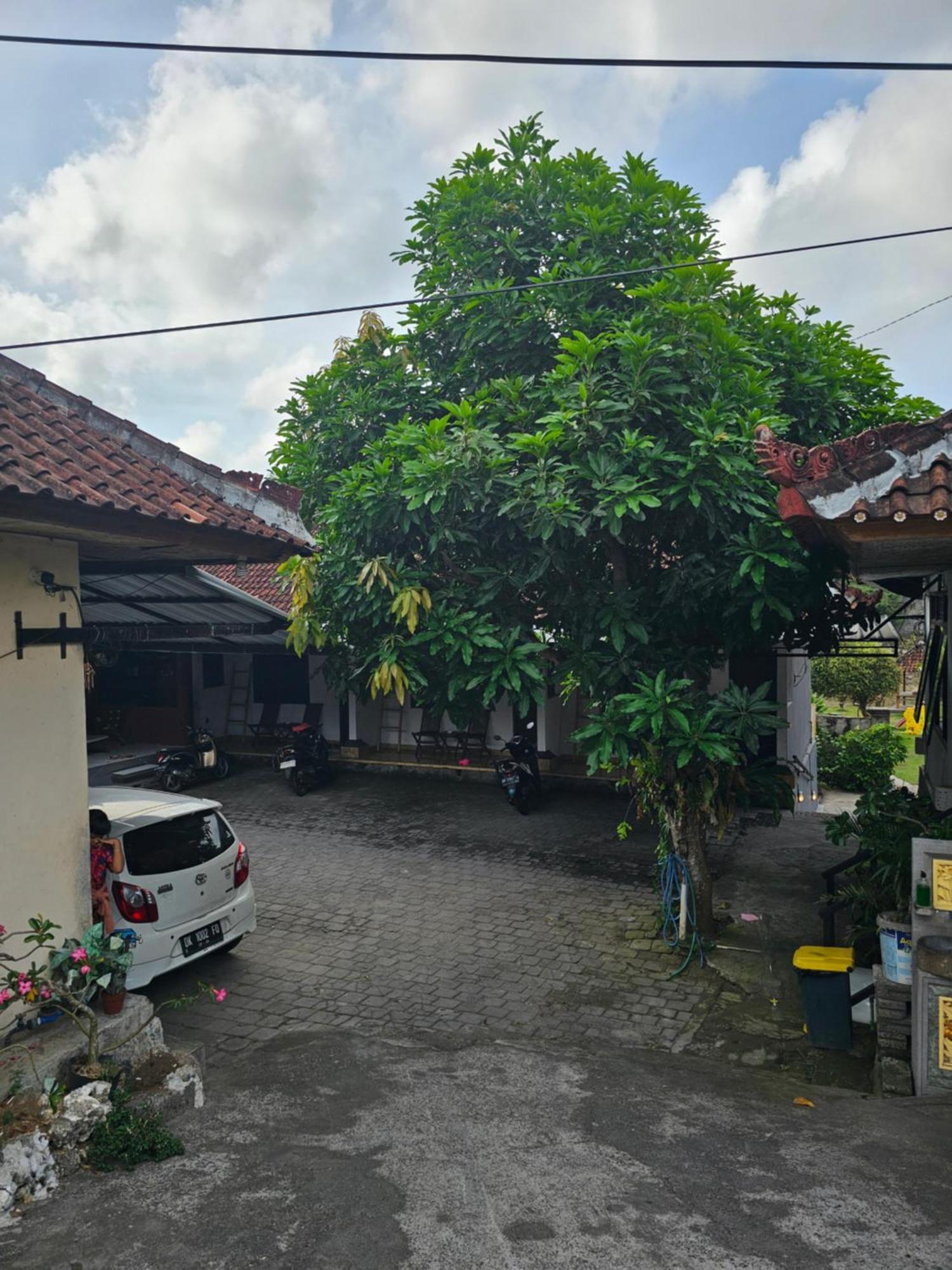 Padang-padang Sari * Uluwatu (Bali)