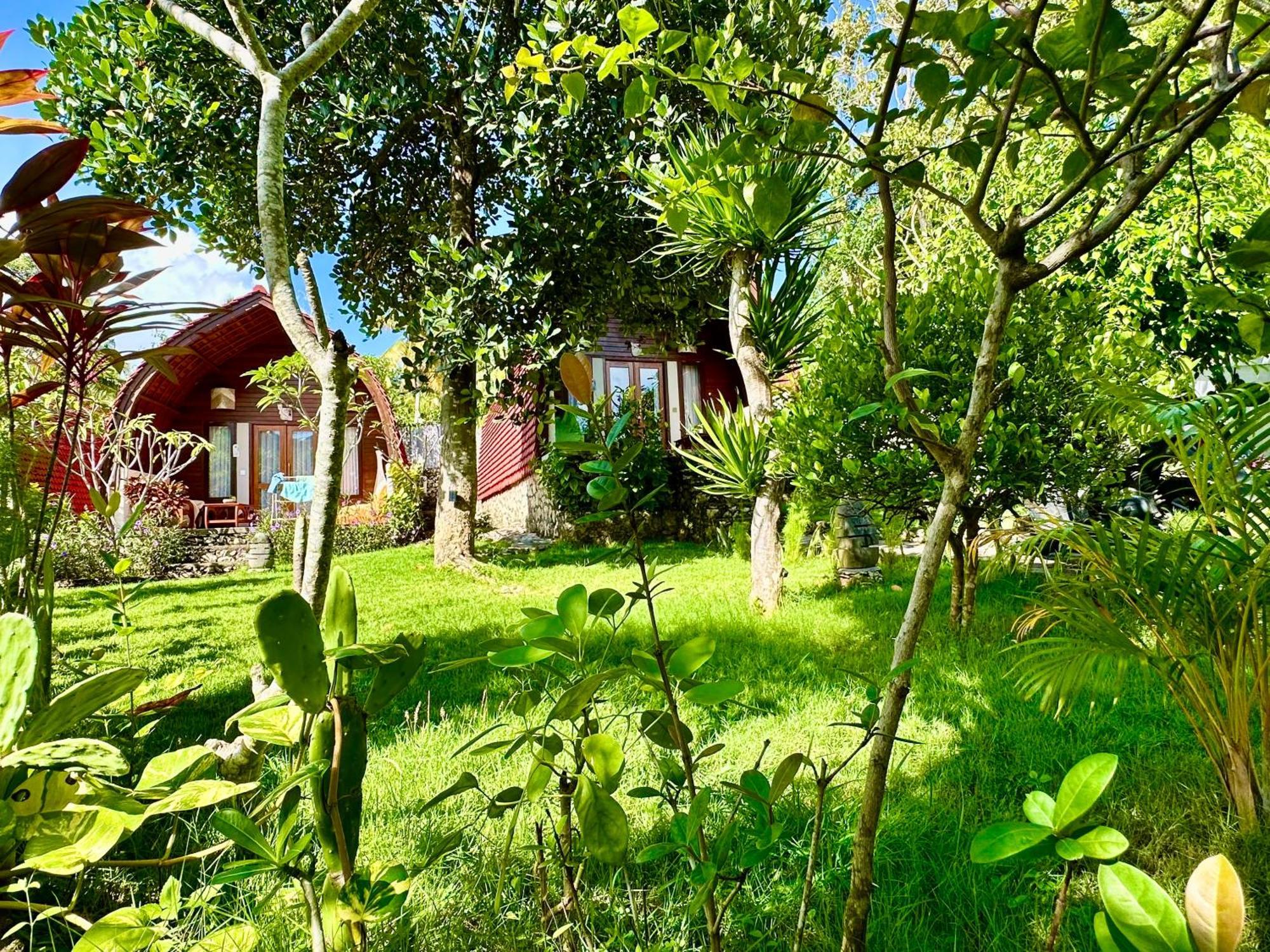 Holiday park Jungle Paradise 3*
