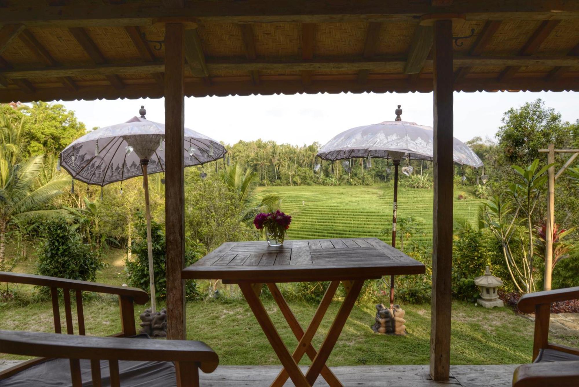 Bali Lush 3*