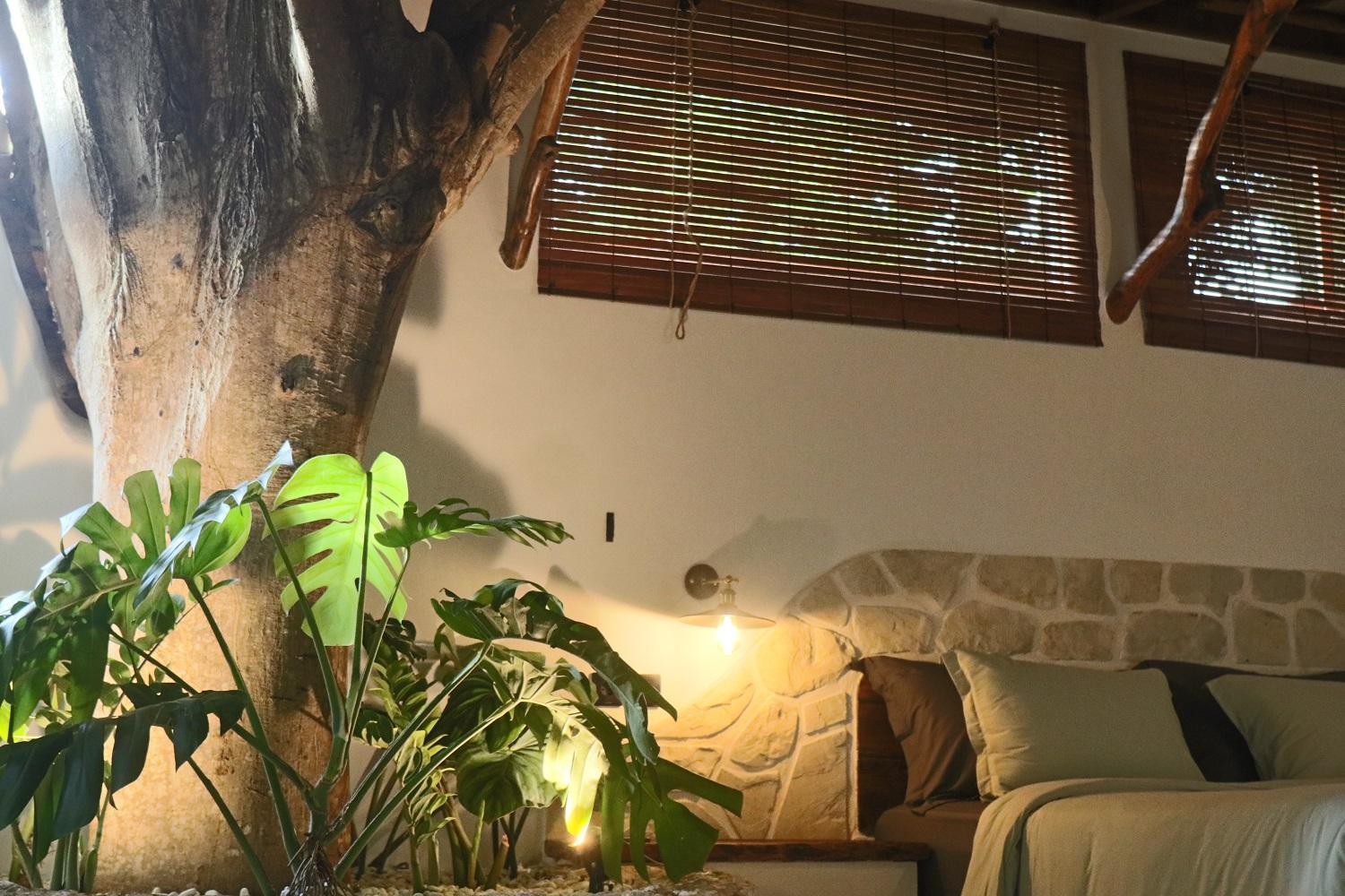Lodge Roots Tree House *