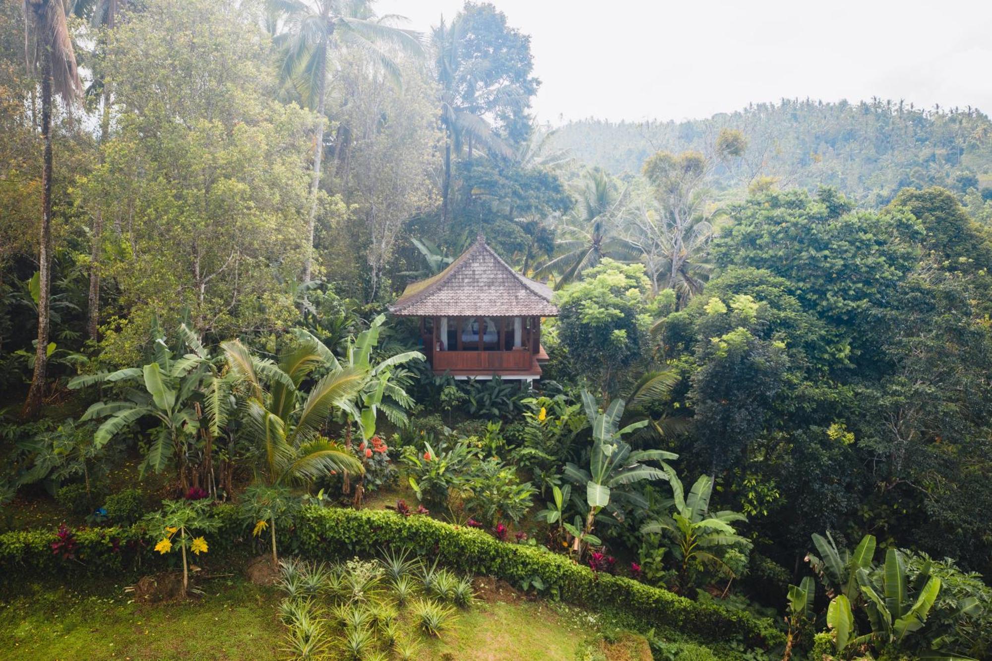 Clove Tree Hill Resort Blimbing (Bali)