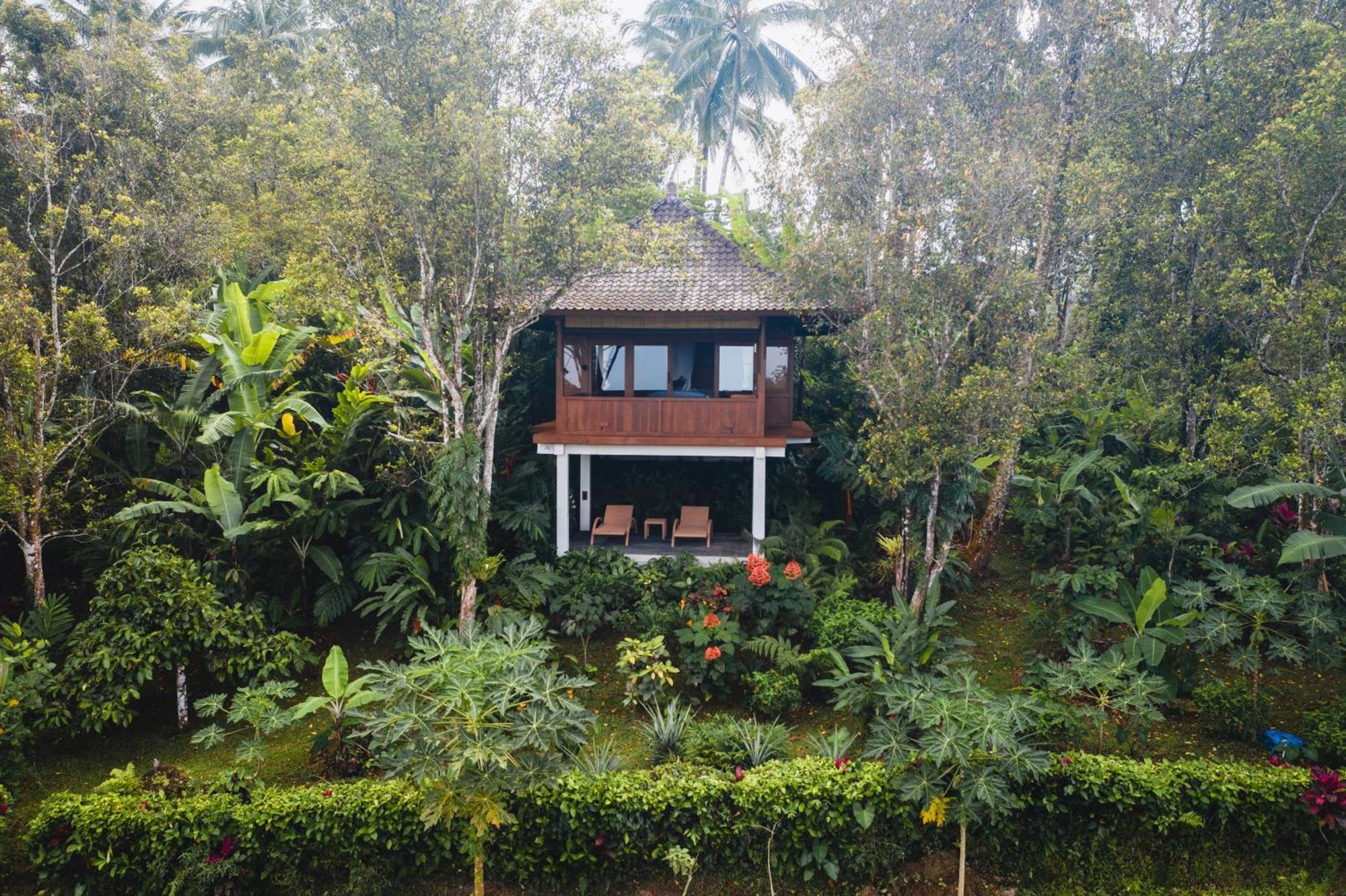 Clove Tree Hill Resort 4*