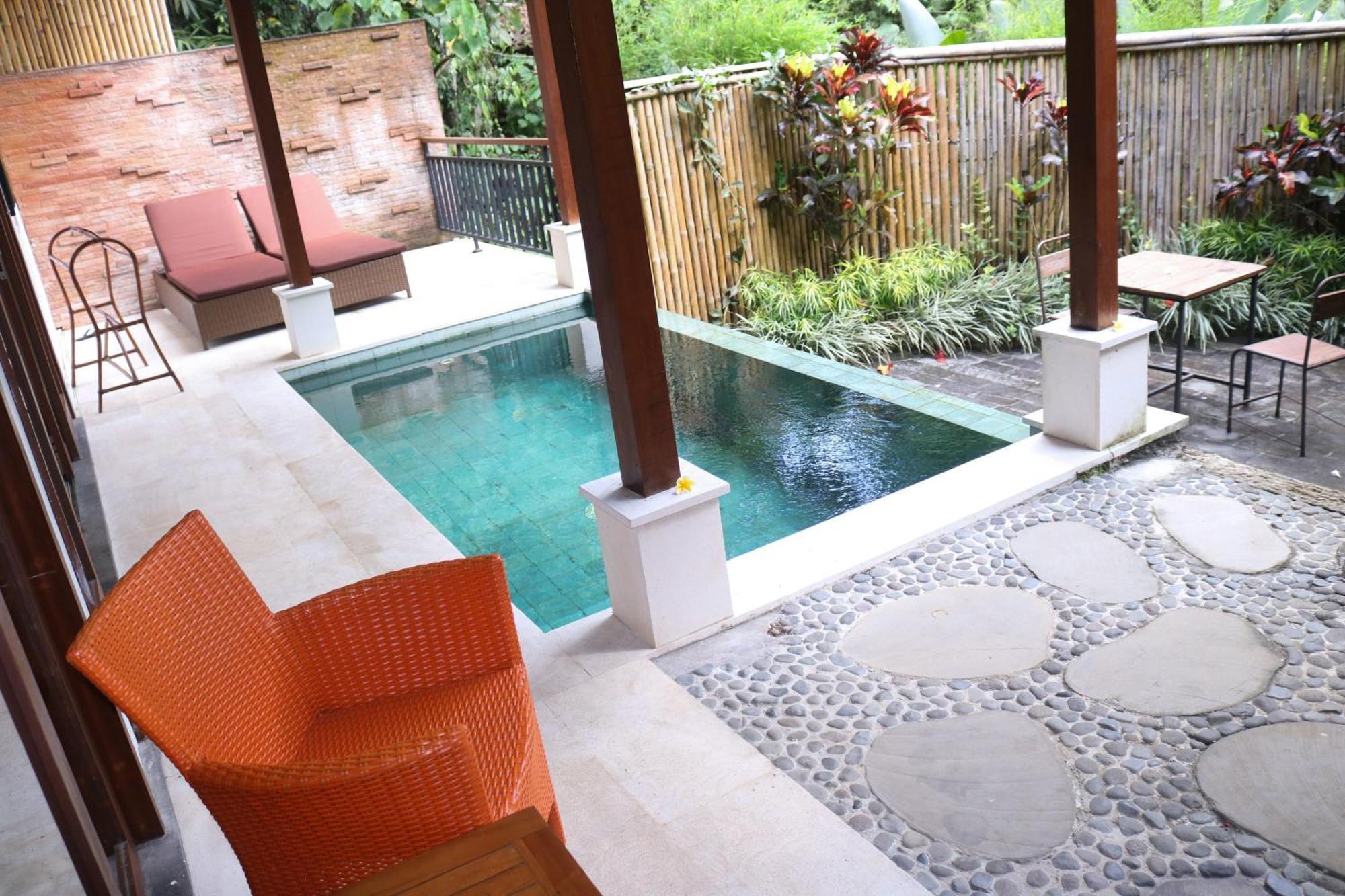 Guest house Jungle Haven 3*
