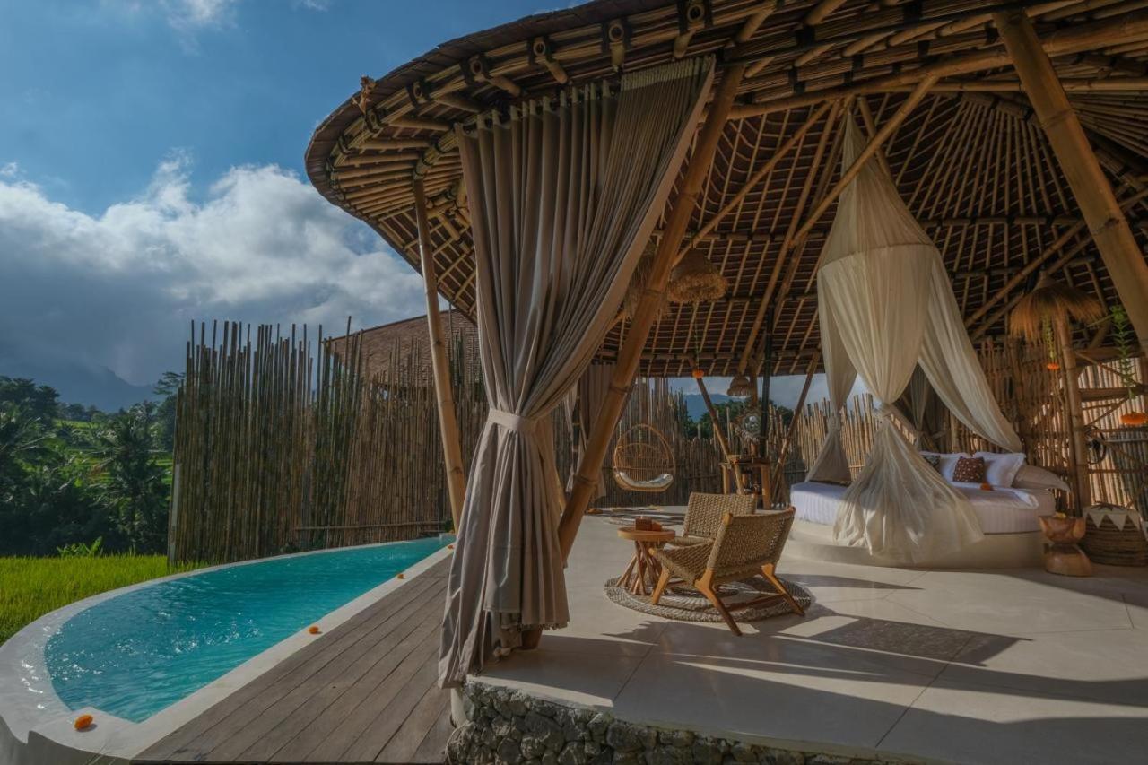 Nivriti Bali *