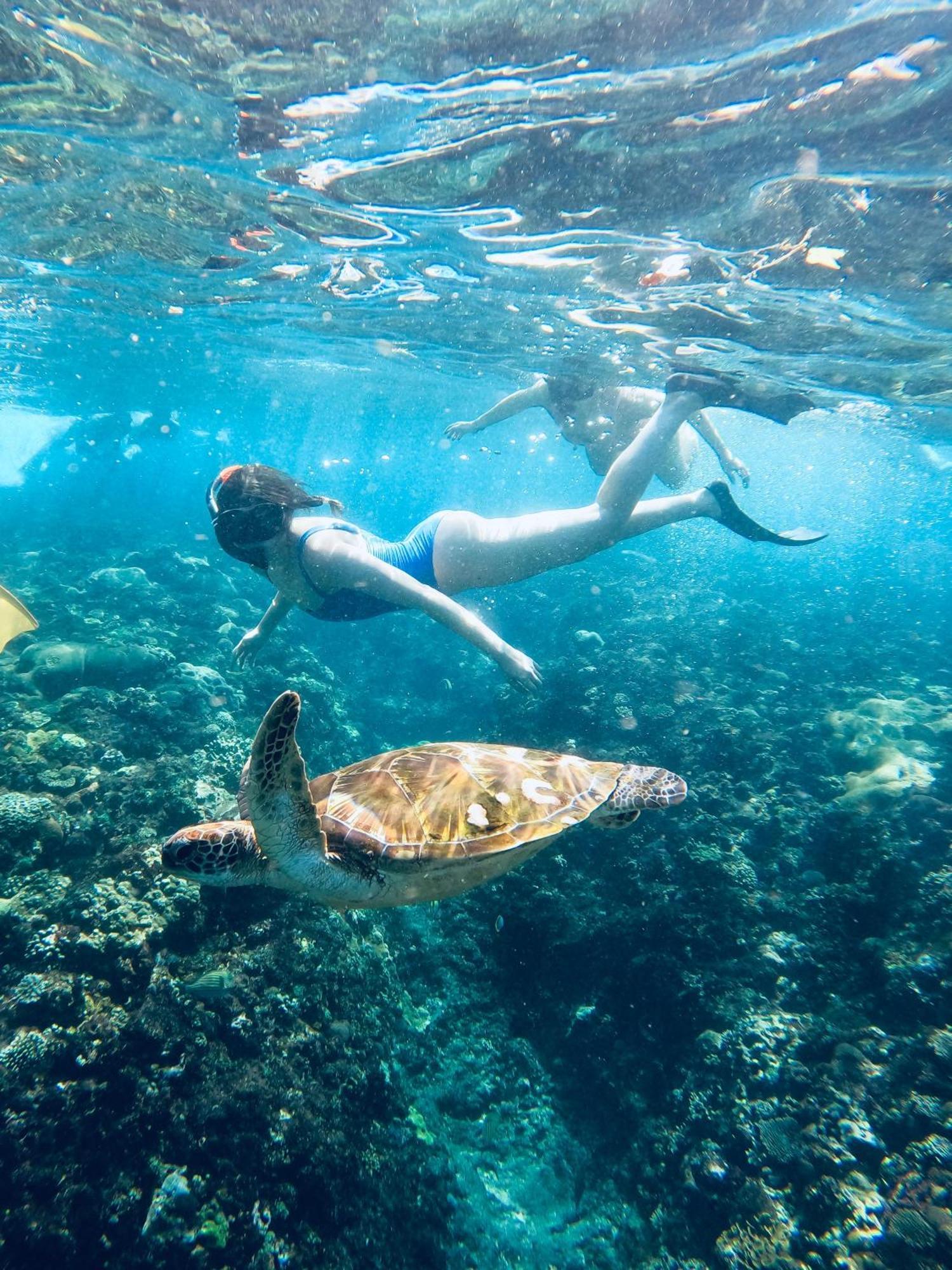The Edge Lembongan Lodge *