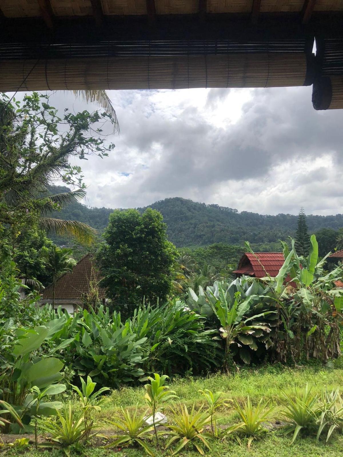 Lodge D'janu Sidemen (Bali)