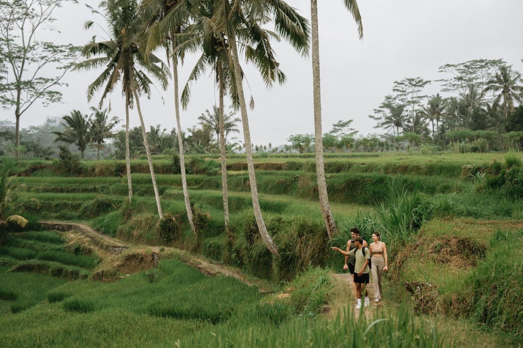 Bambootel Sawah View