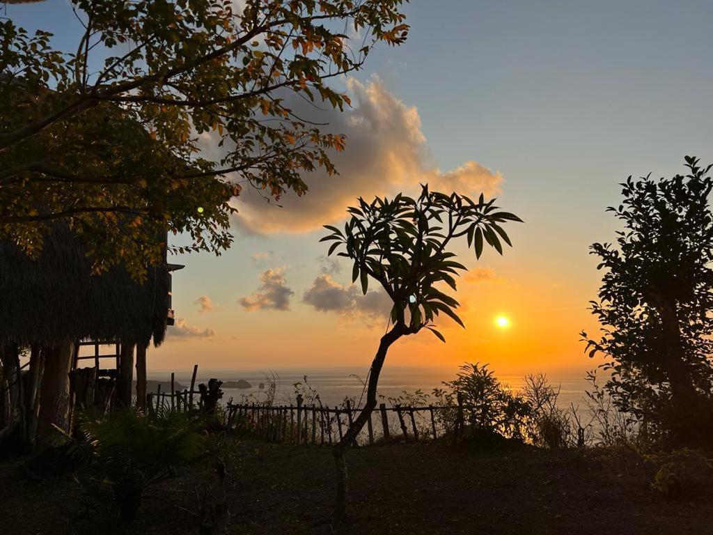 Holiday park Suwehan Eco-tourist Dreamstay Treehouse *