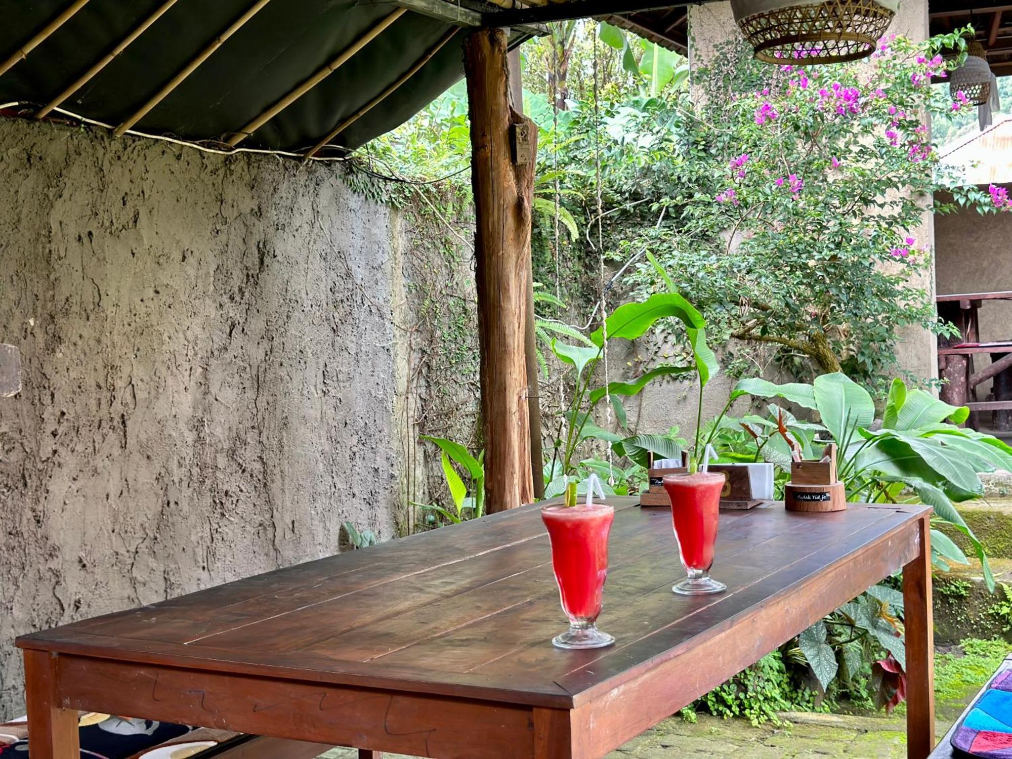 Guest house The Winaposa