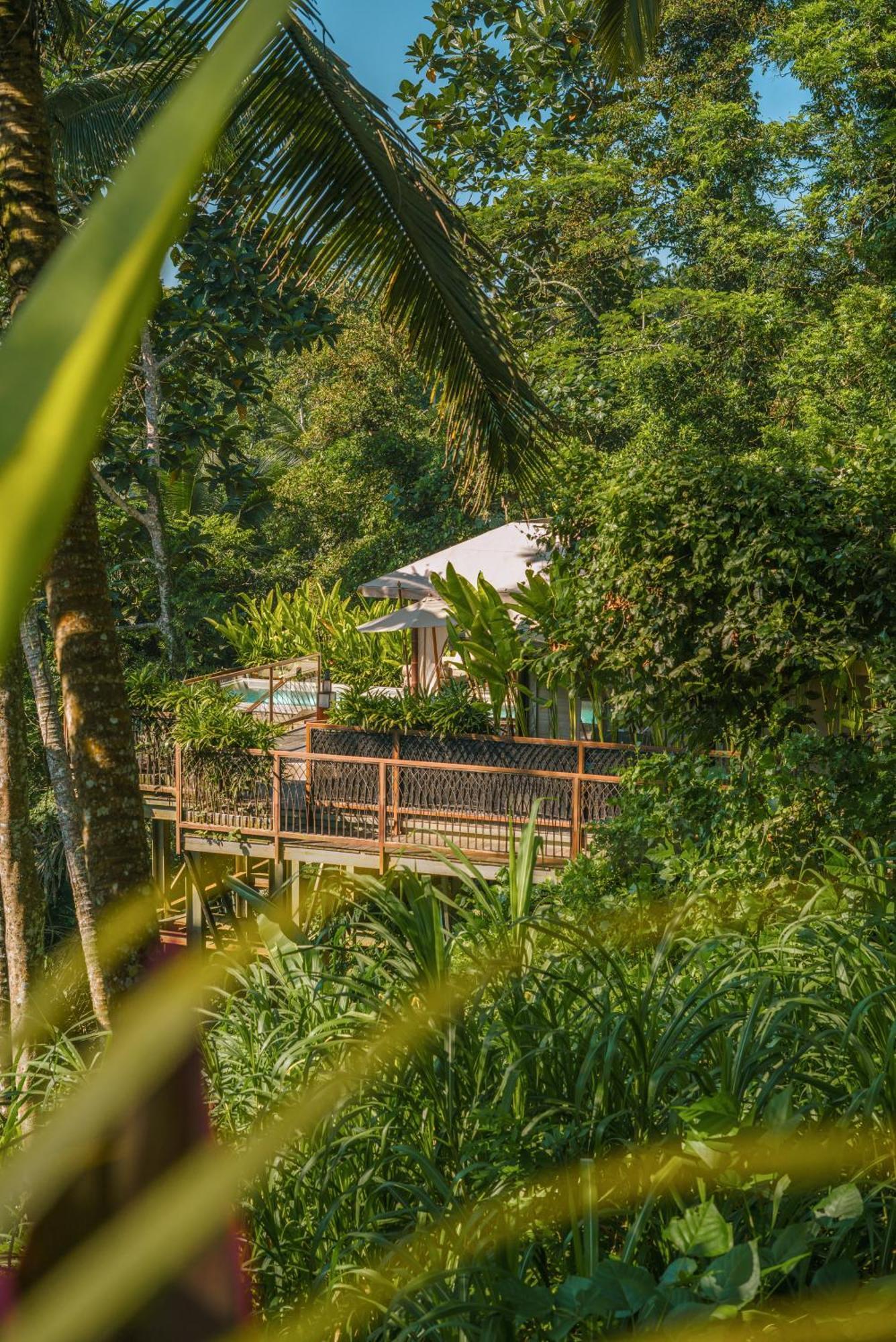 Kanva Ubud * Tegallalang (Bali)