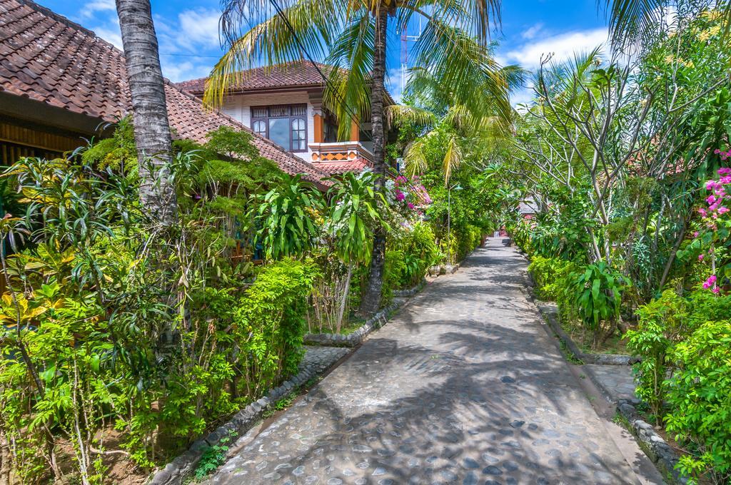 Paradise Palm And Dive Center Tulamben (Bali)