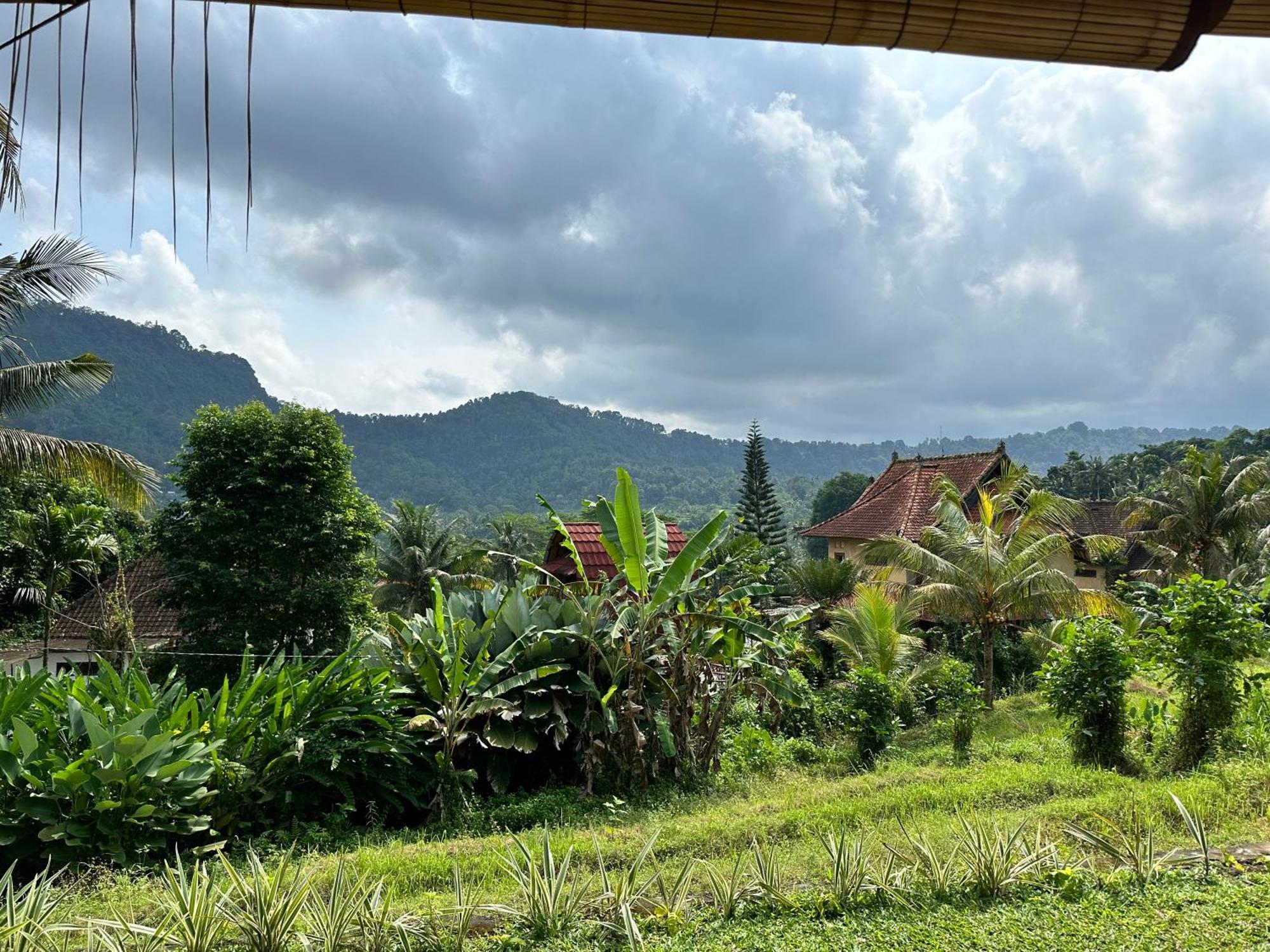 Lodge D'janu Sidemen (Bali)