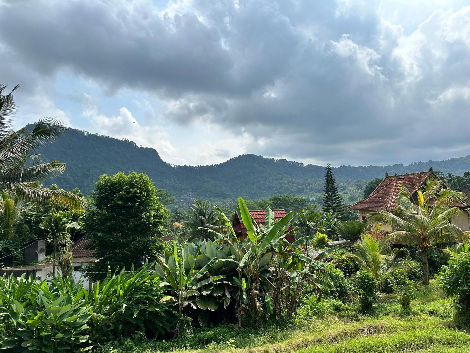 D'janu Sidemen (Bali)