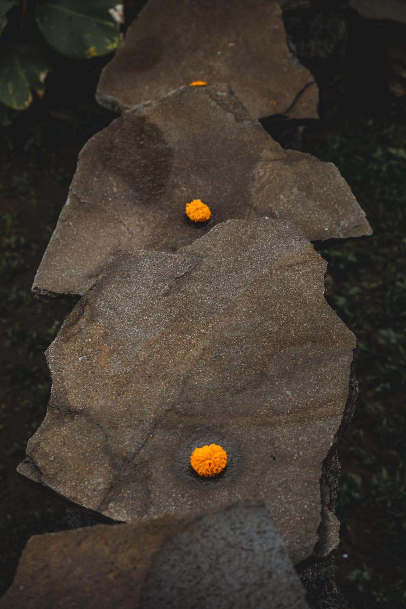 Nivriti Bali
