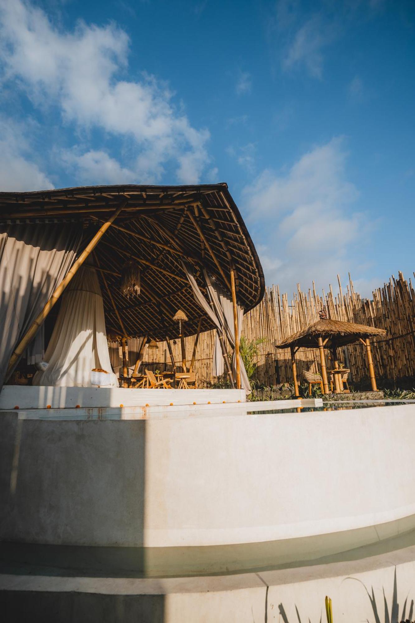 Nivriti Bali