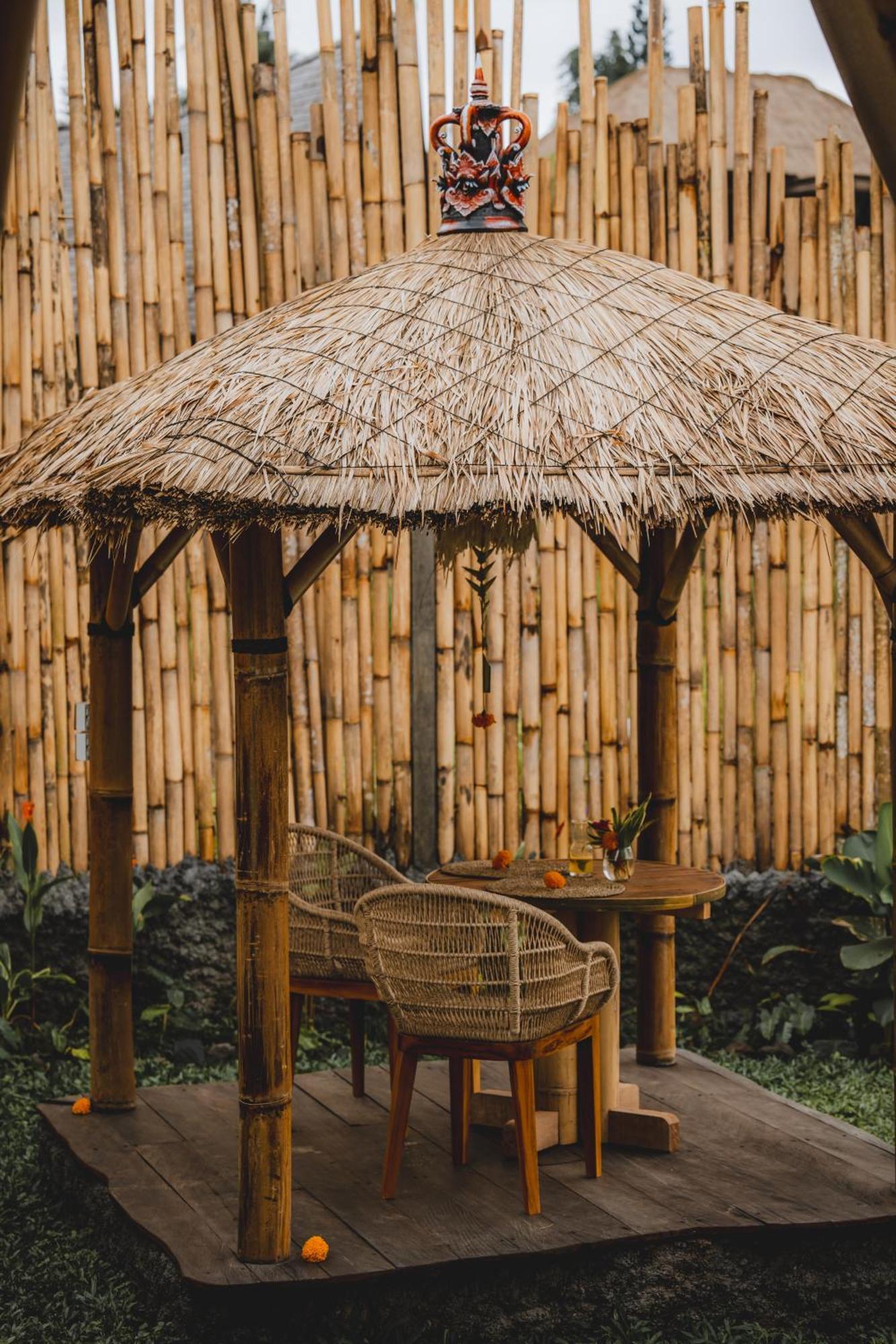 Nivriti Bali *