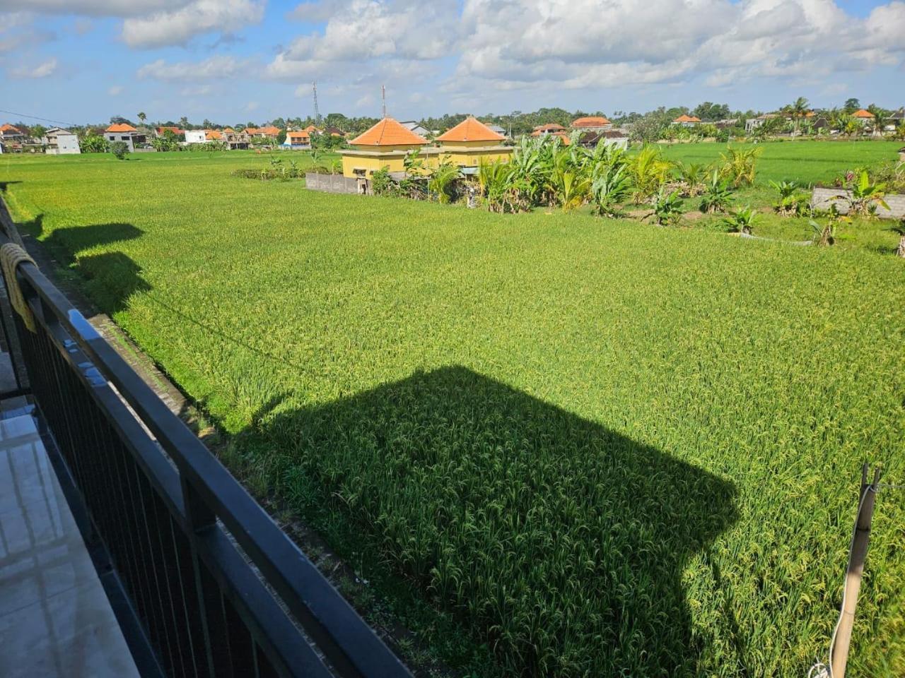 Krisna Tapan * Ubud (Bali)
