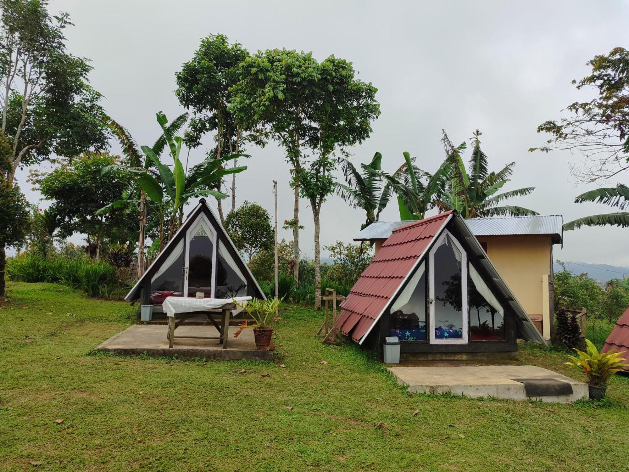 Bugo Camp Glamping & Natural Activity Campsite *